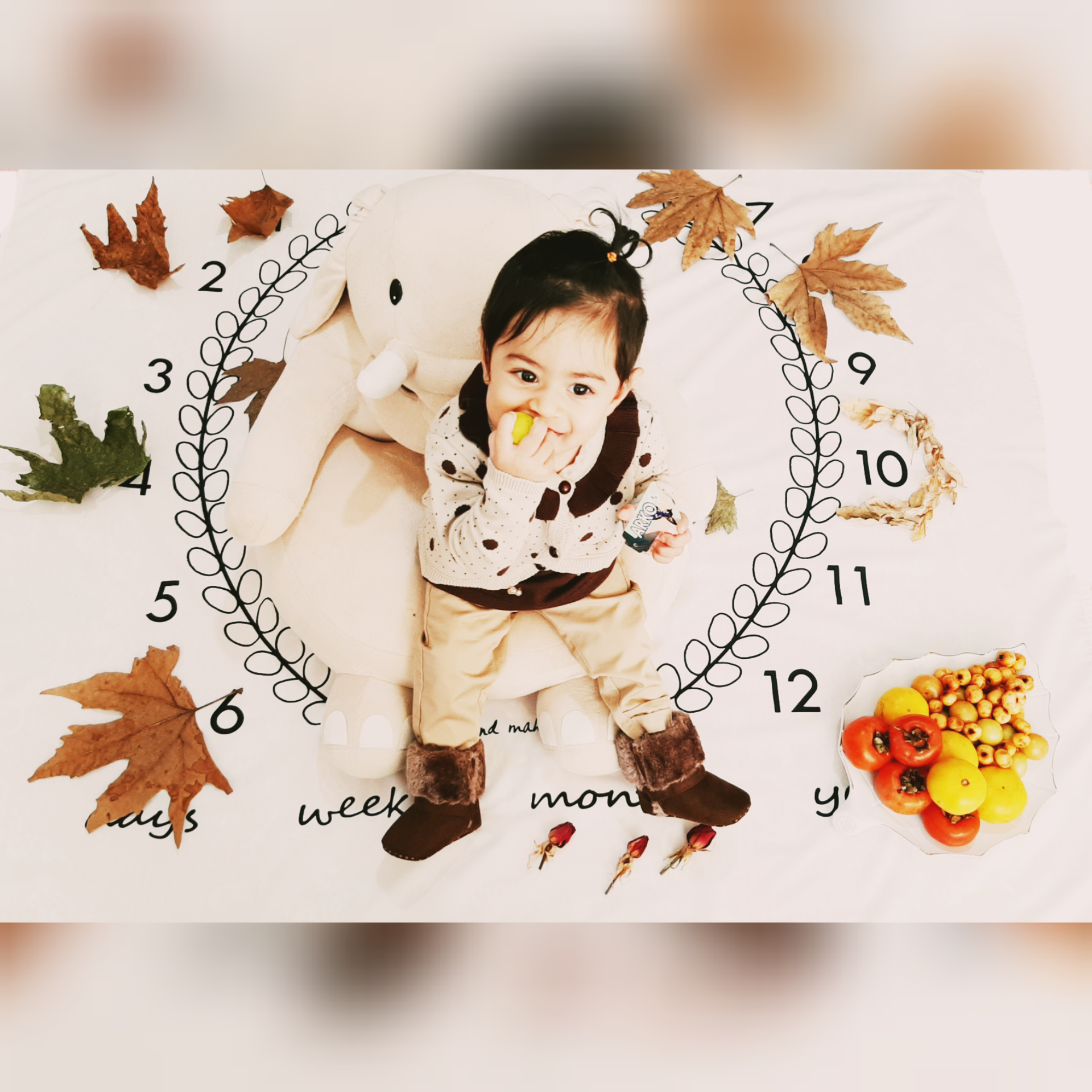 ده ماهگی نوزاد نیکا سلیمی