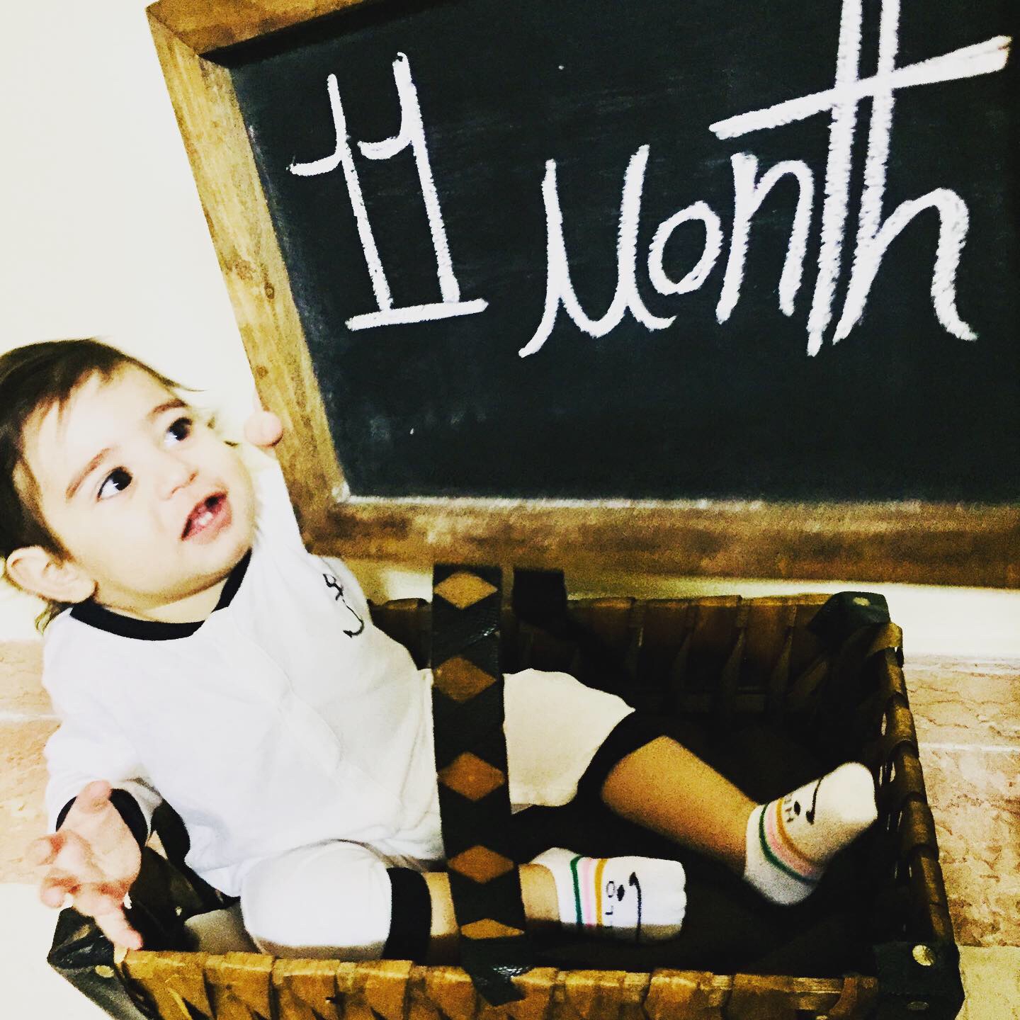 یازده ماهگی نوزاد برديا فراهاني