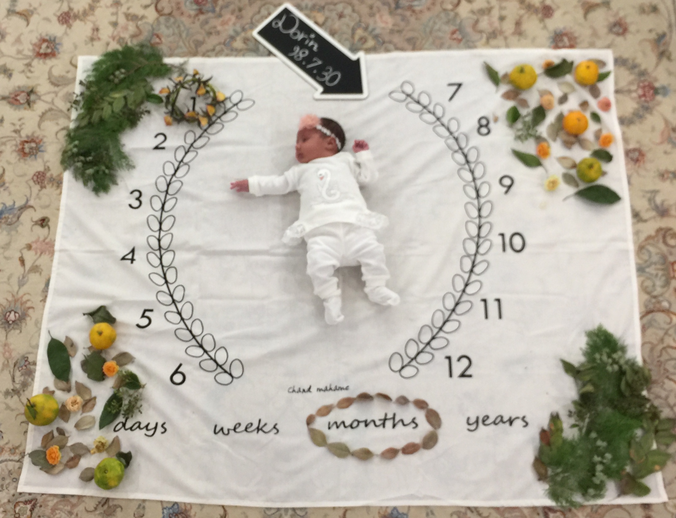 تم عکس پاییزی نوزاد Dorin nori