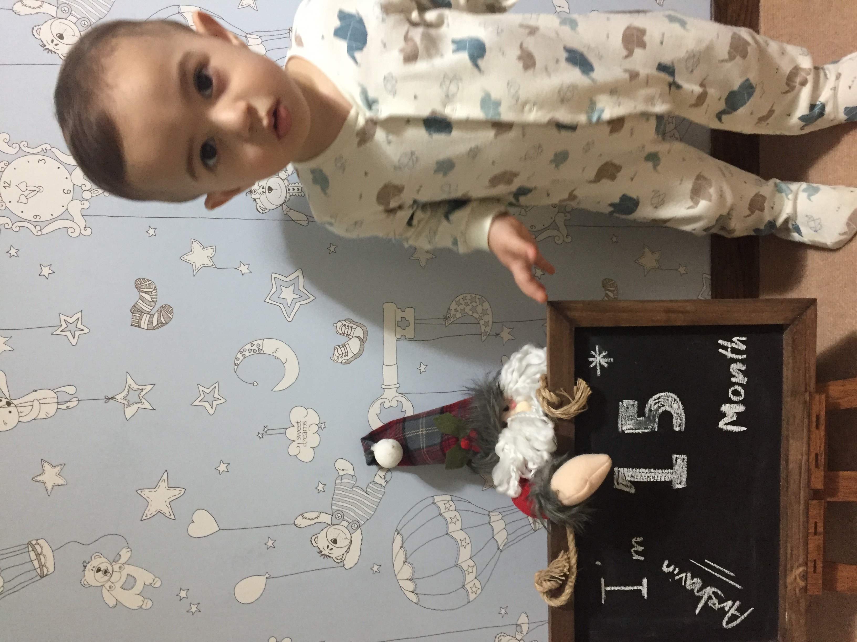 پانزده ماهگی کودک آرشاوین مجدی