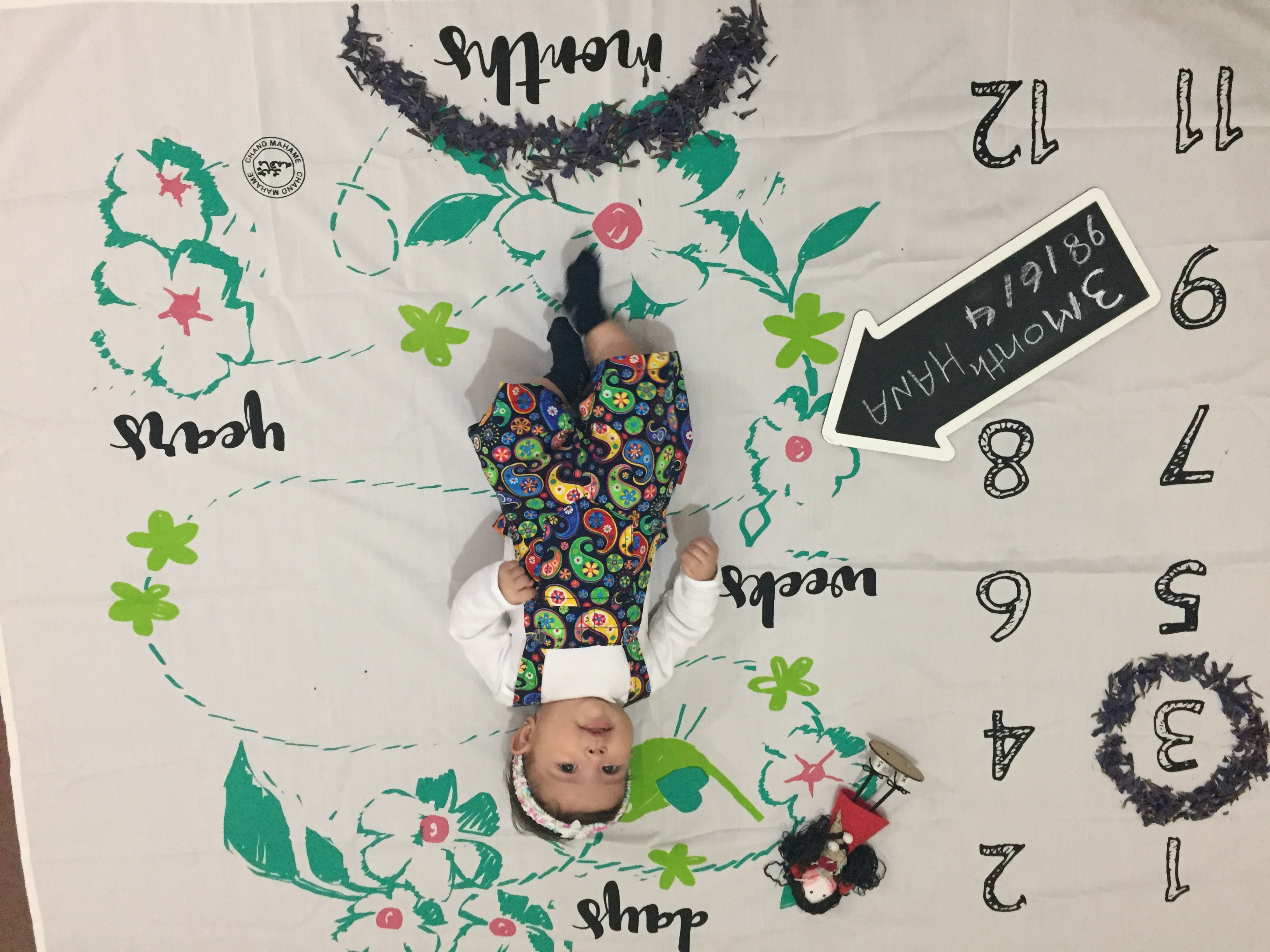 تخته سیاه گچی مدل فلش هانا سلطانپور