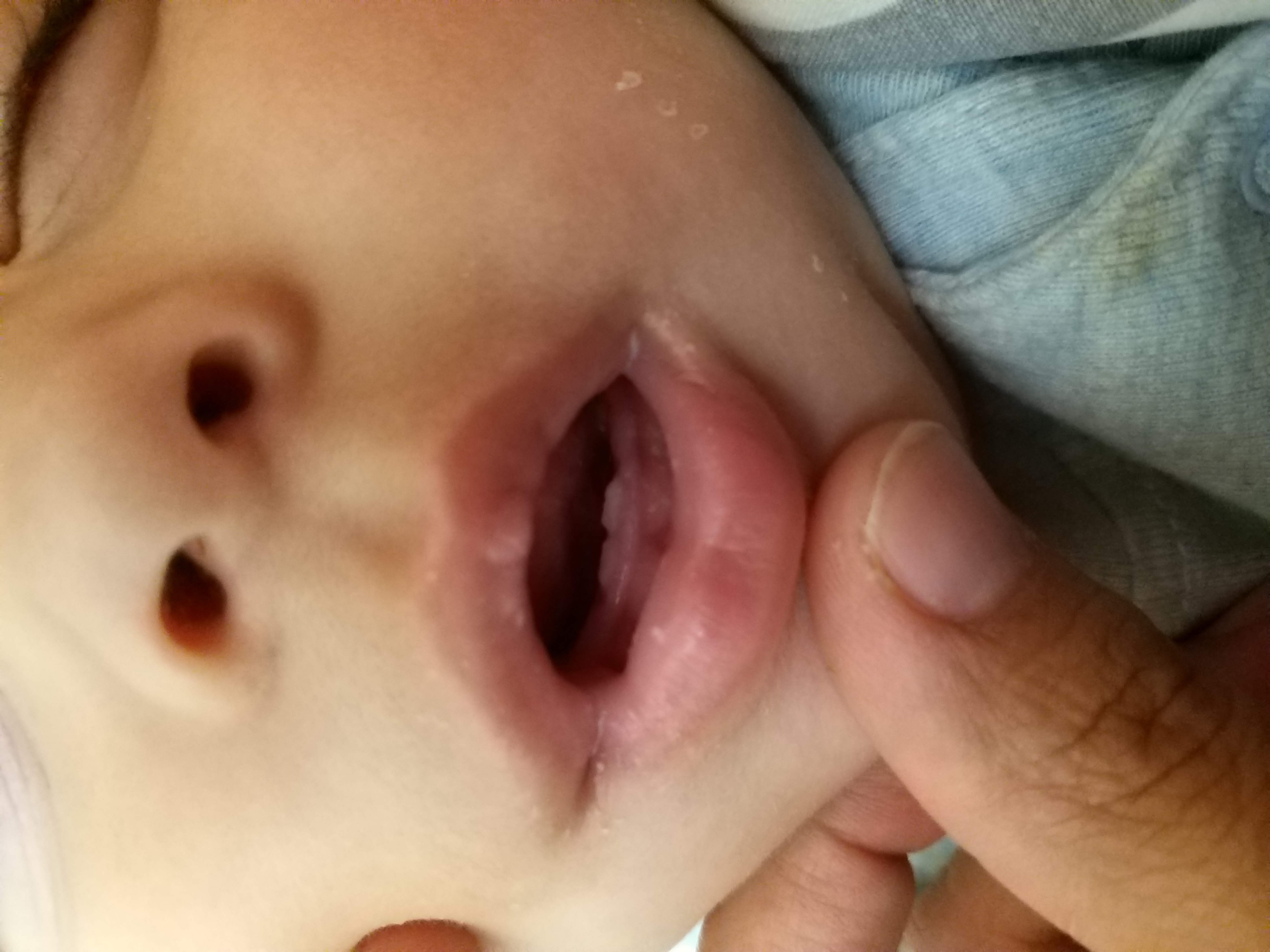 جشن دندونی نوزاد محمد اروين شيهكي تاش