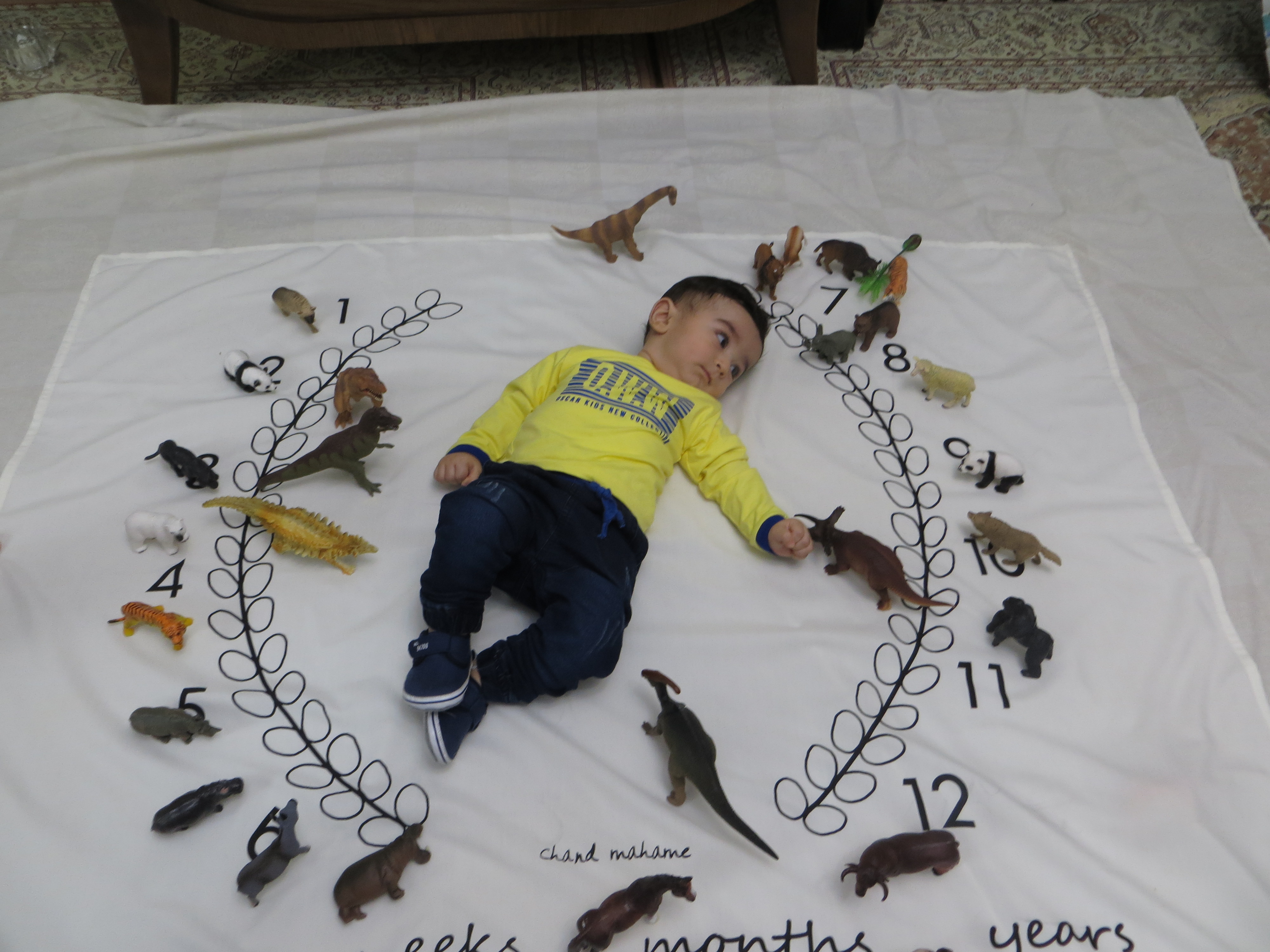 دوازده ماهگی نوزاد آرسام جعفری