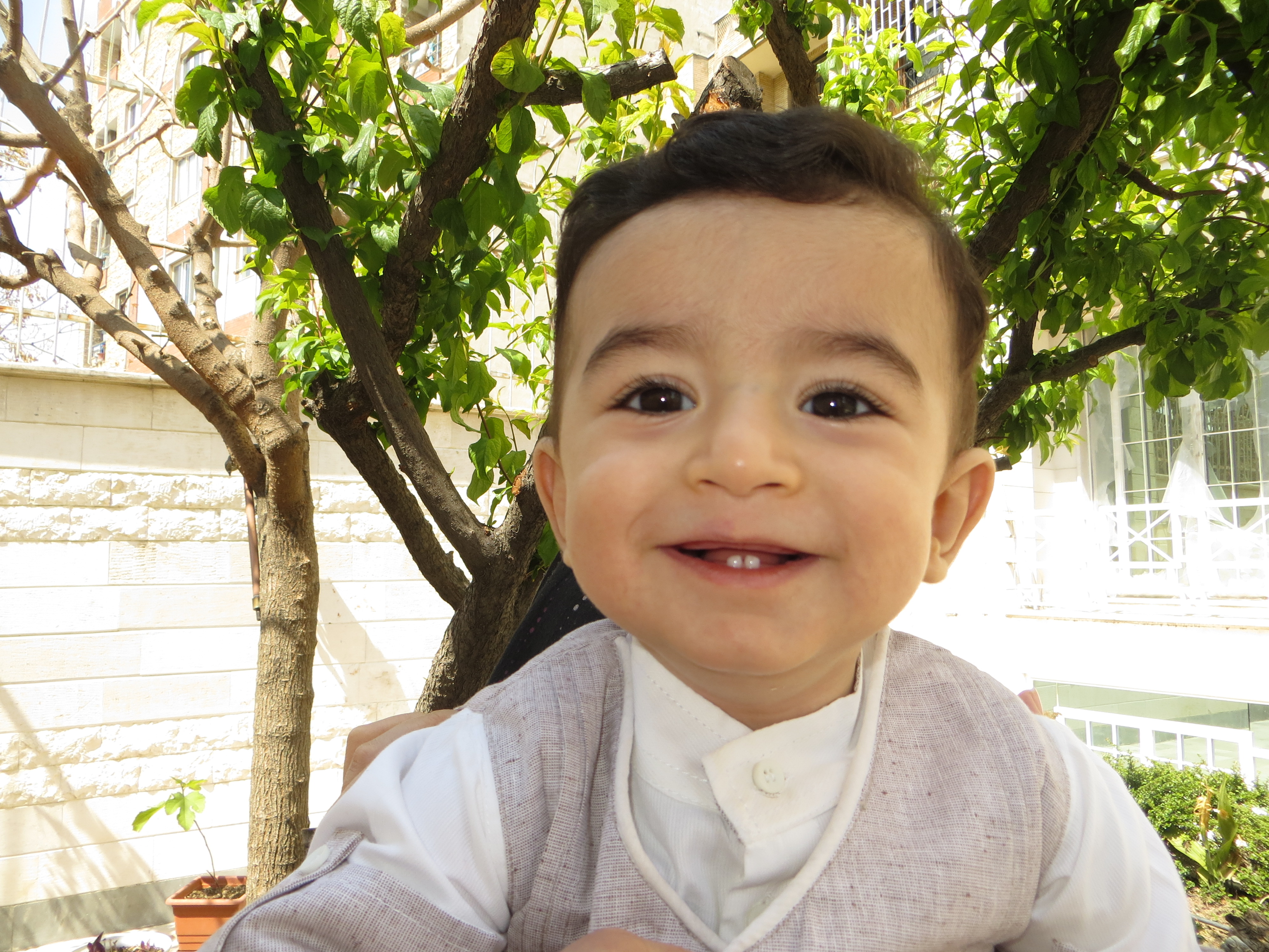 دوازده ماهگی نوزاد آرسام جعفری