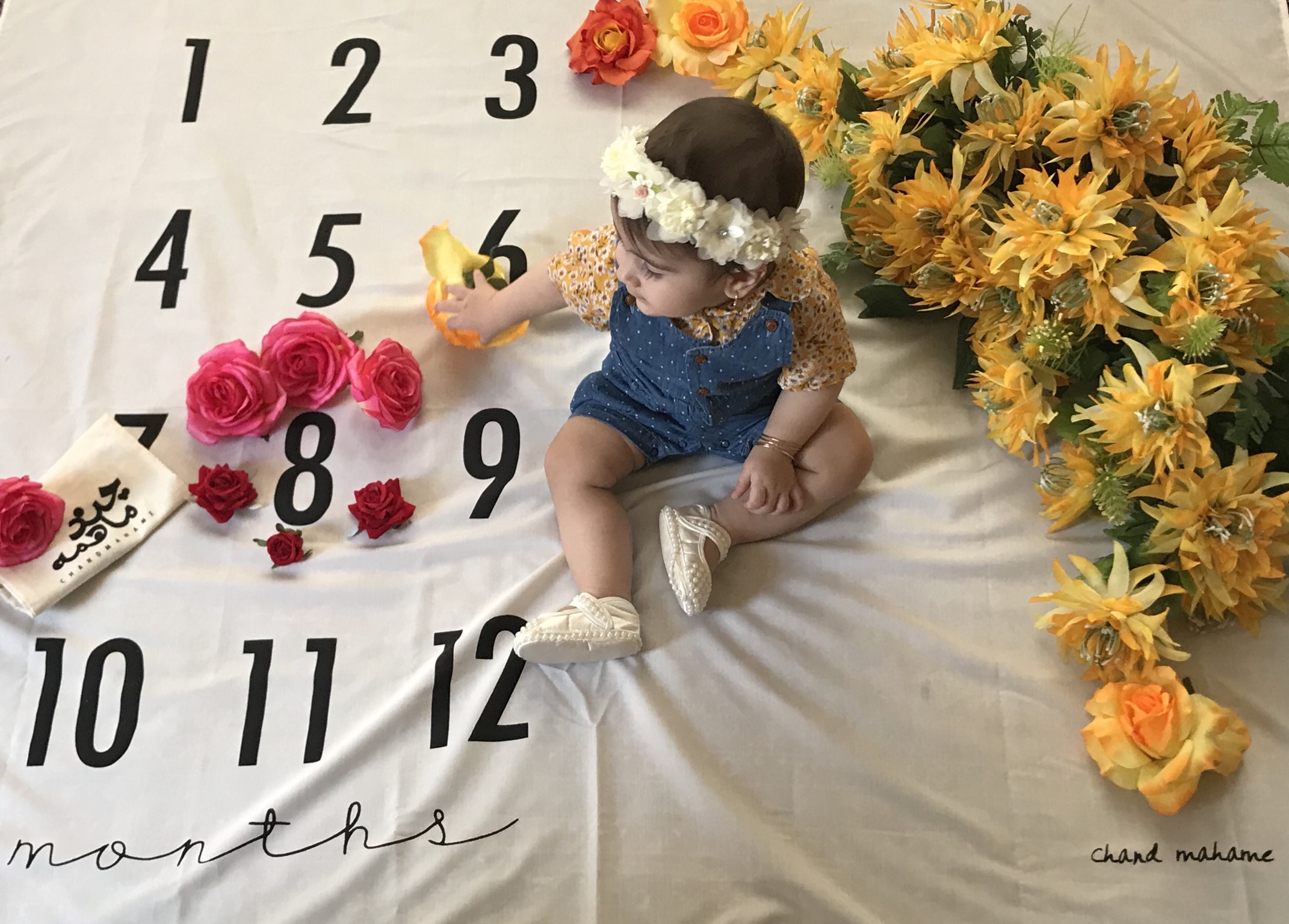 پارچه-های-عکاسی-16541