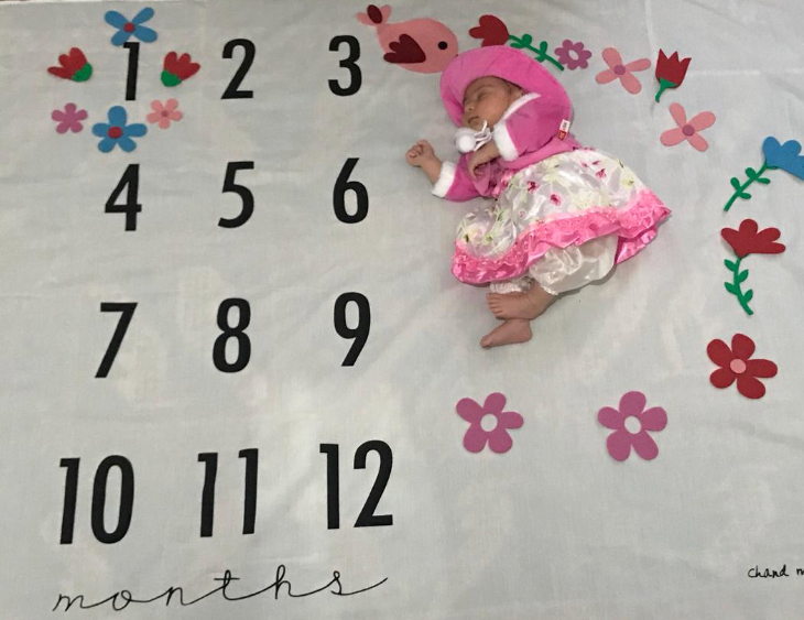 تم-عکاسی-گل-و-بلبل-4993