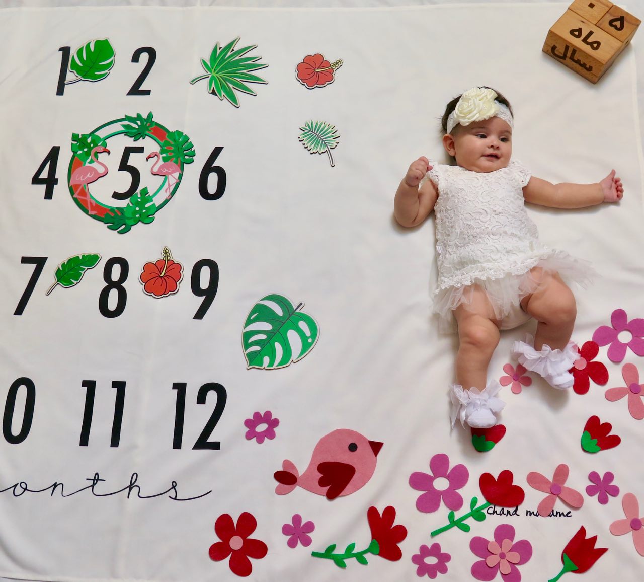 عکس مجلسی کودک دلوین رضایی زنگنه