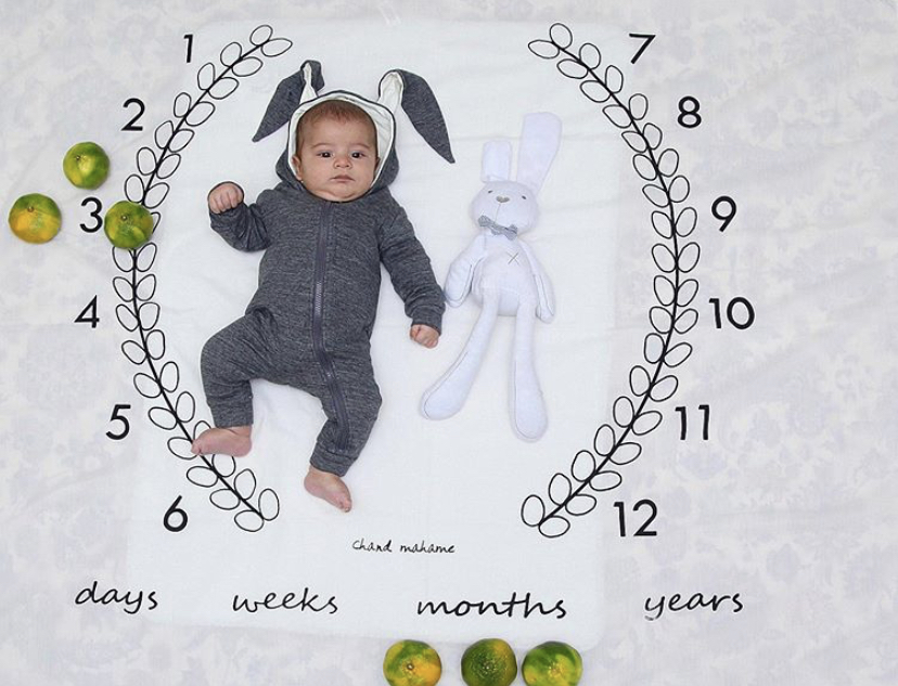 پارچه ماه شمار طرح شاخه زیتون نیما شیردل