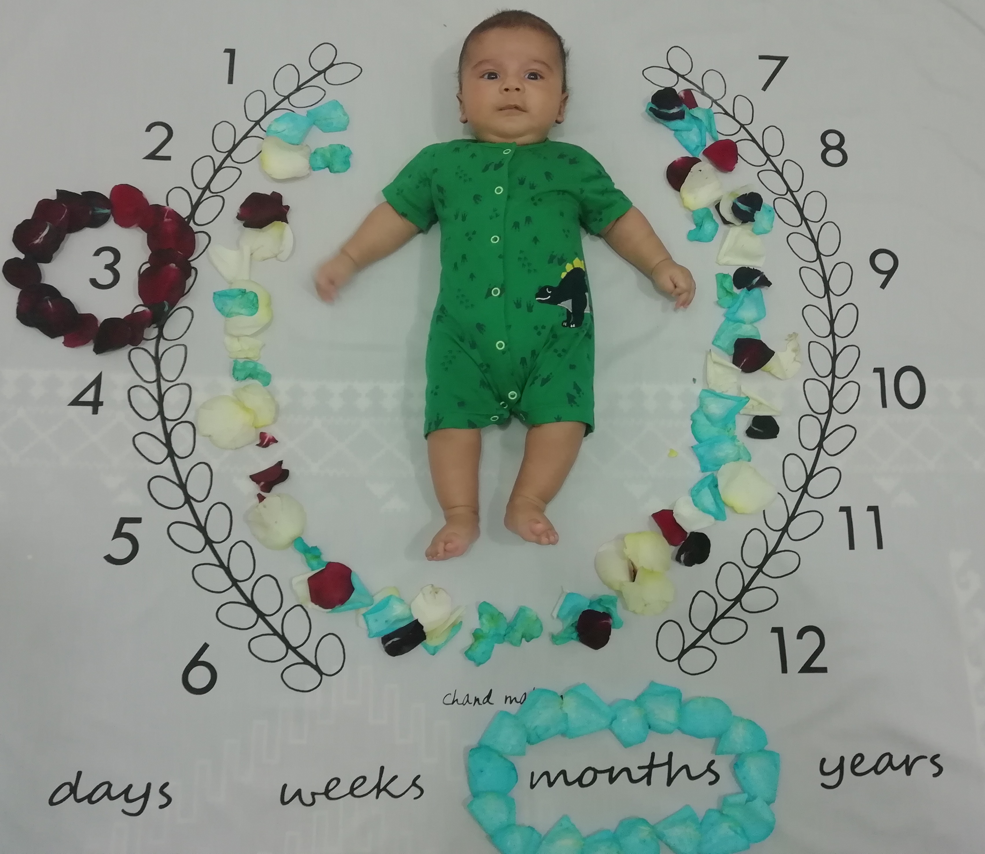 تم عکس زمستانی نوزاد هاکان عظیمی سعادت