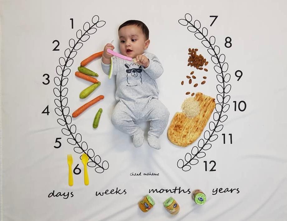 پارچه ماه شمار طرح شاخه زیتون راستین کارآمد