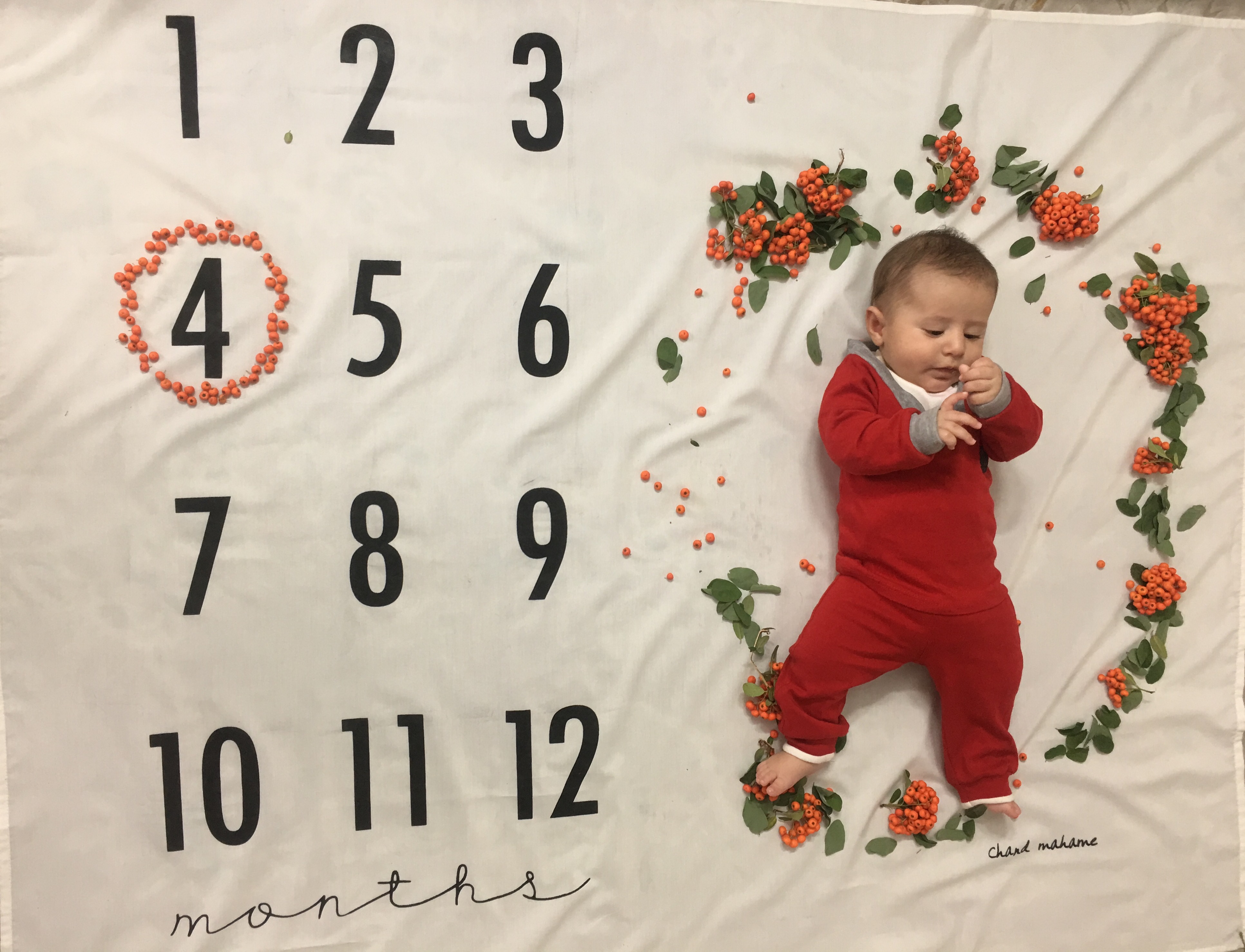 تم عکس پاییزی نوزاد سورنا مقديد