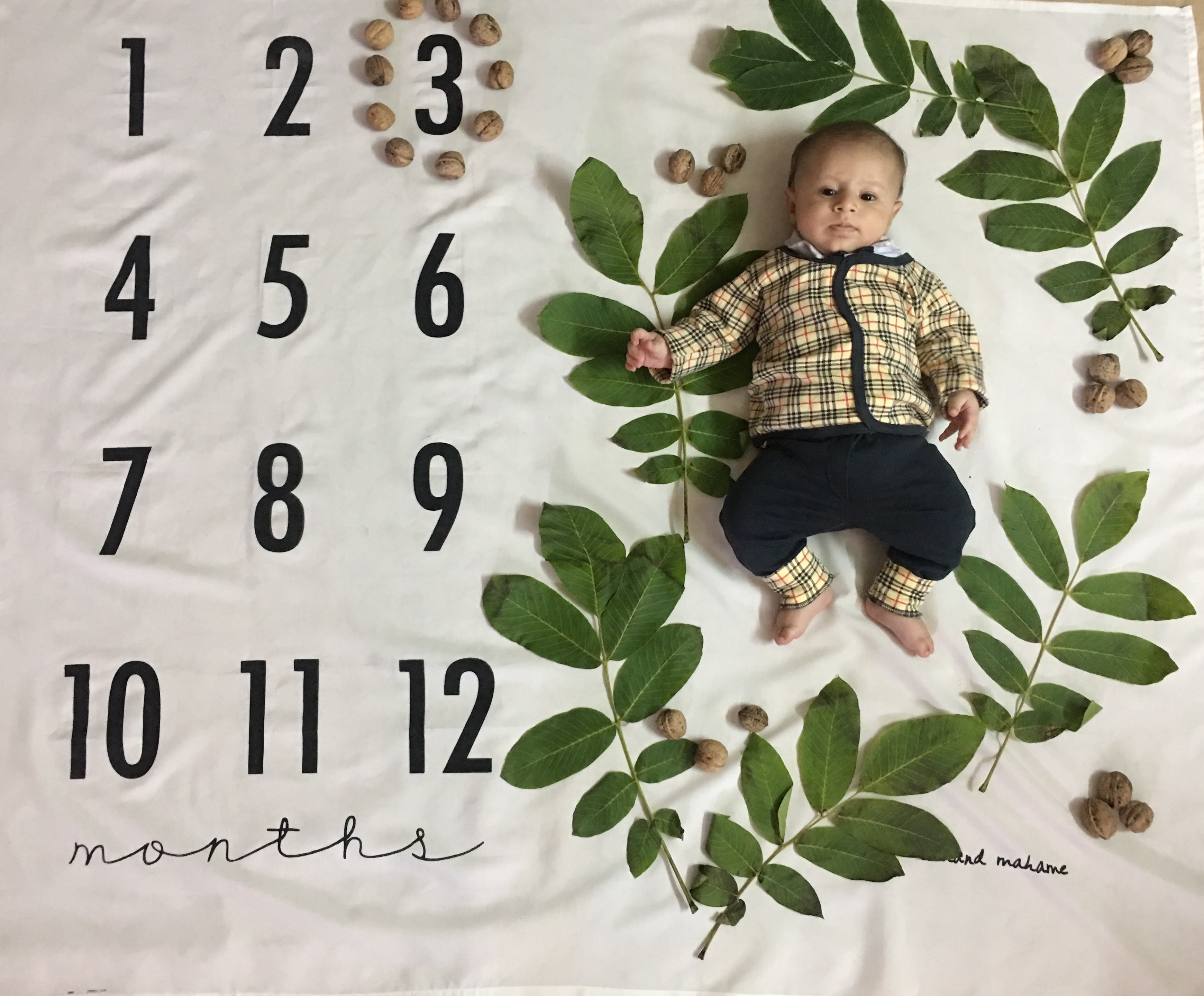 سه ماهگی نوزاد سورنا مقديد