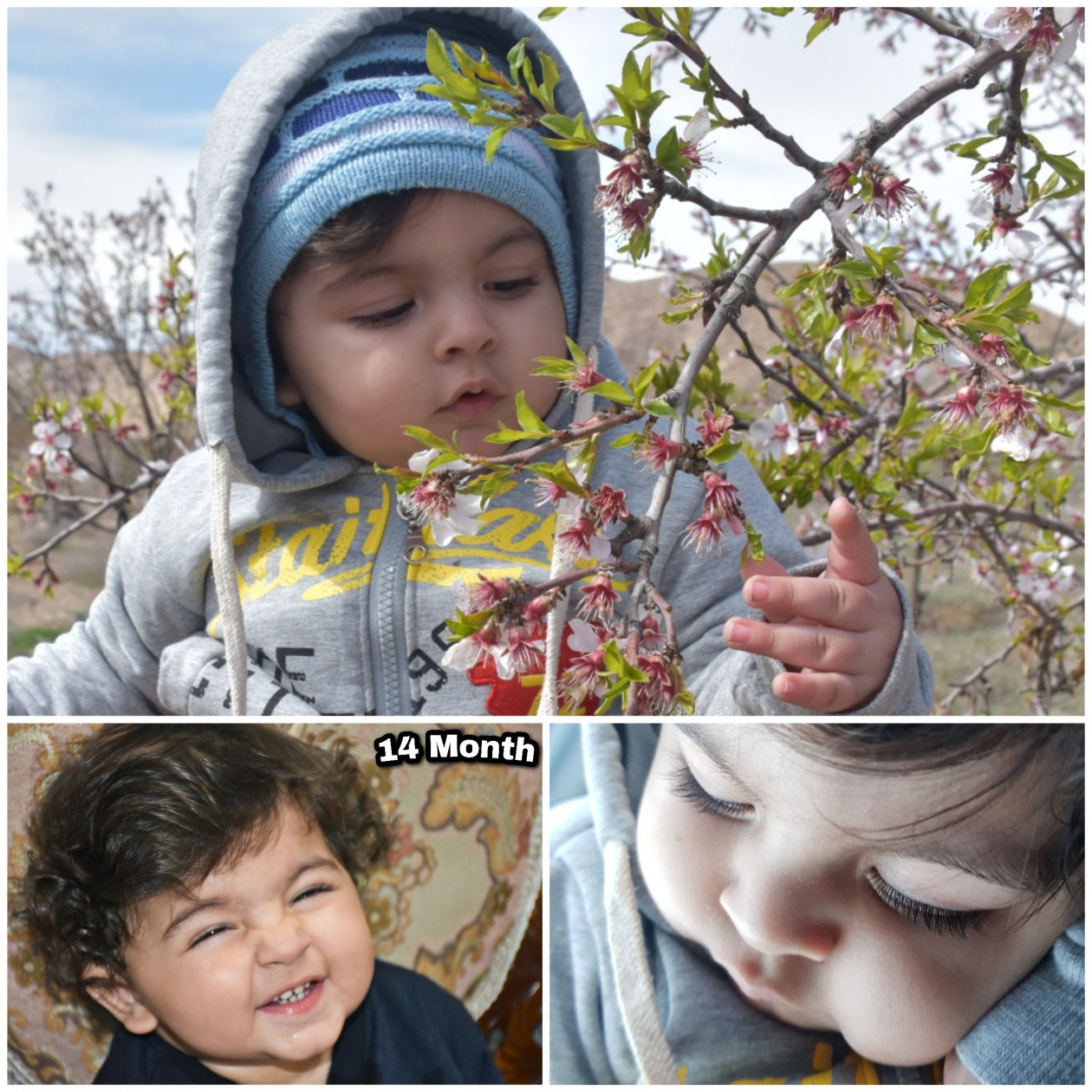 چهارده ماهگی_کودک محمدطاهافارسی