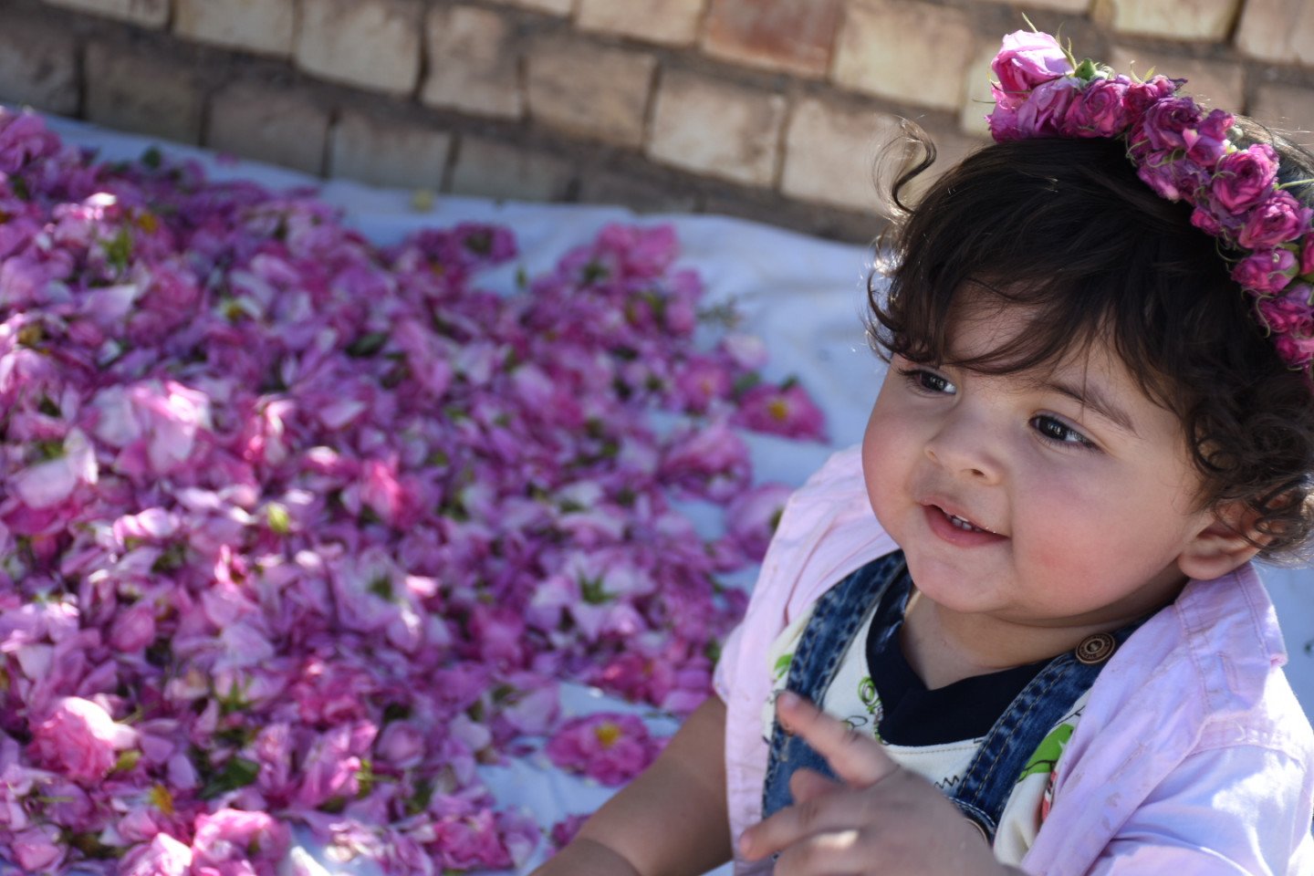 پانزده ماهگی کودک محمدطاهافارسی