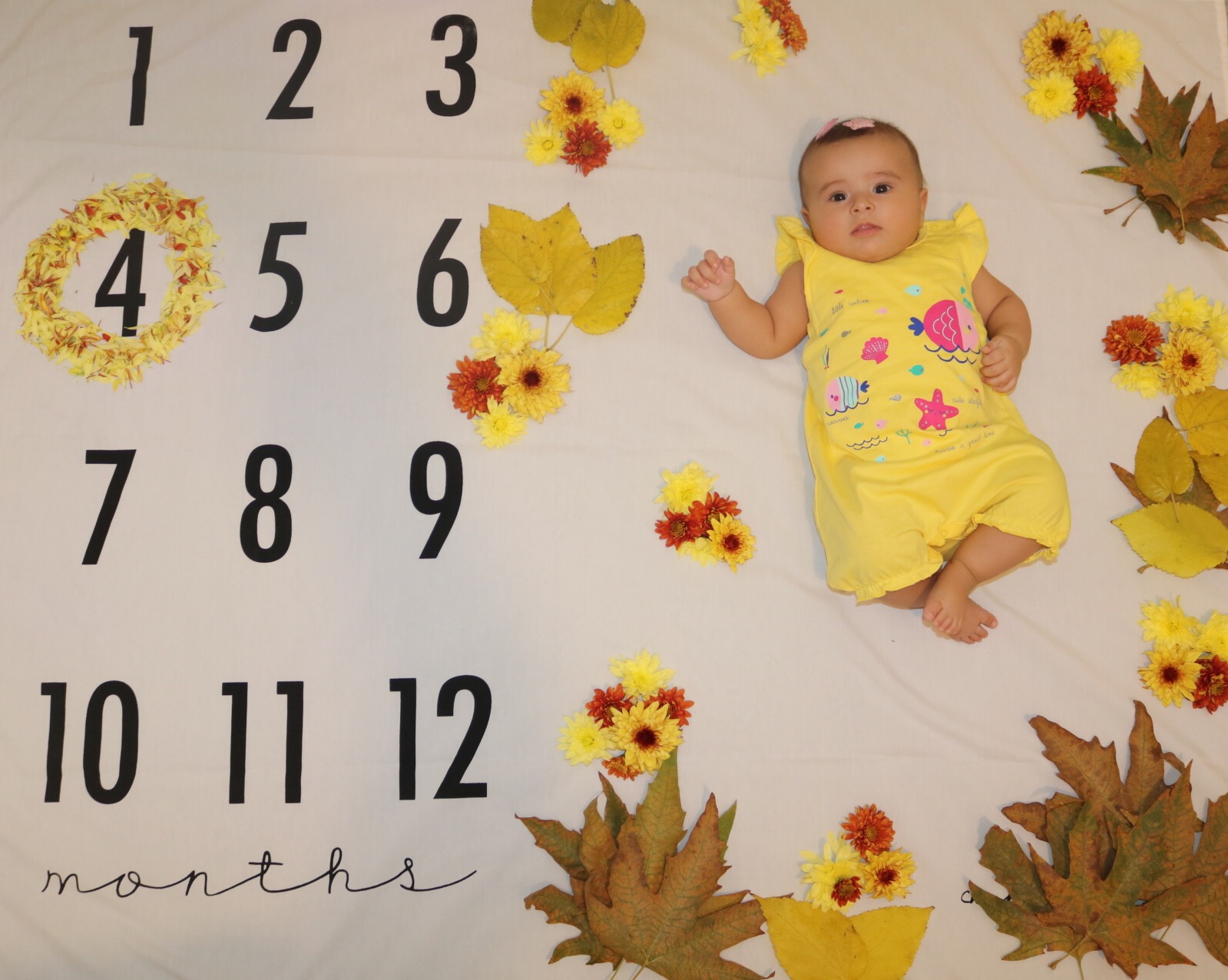 تم عکس پاییزی نوزاد دلوین عسگری