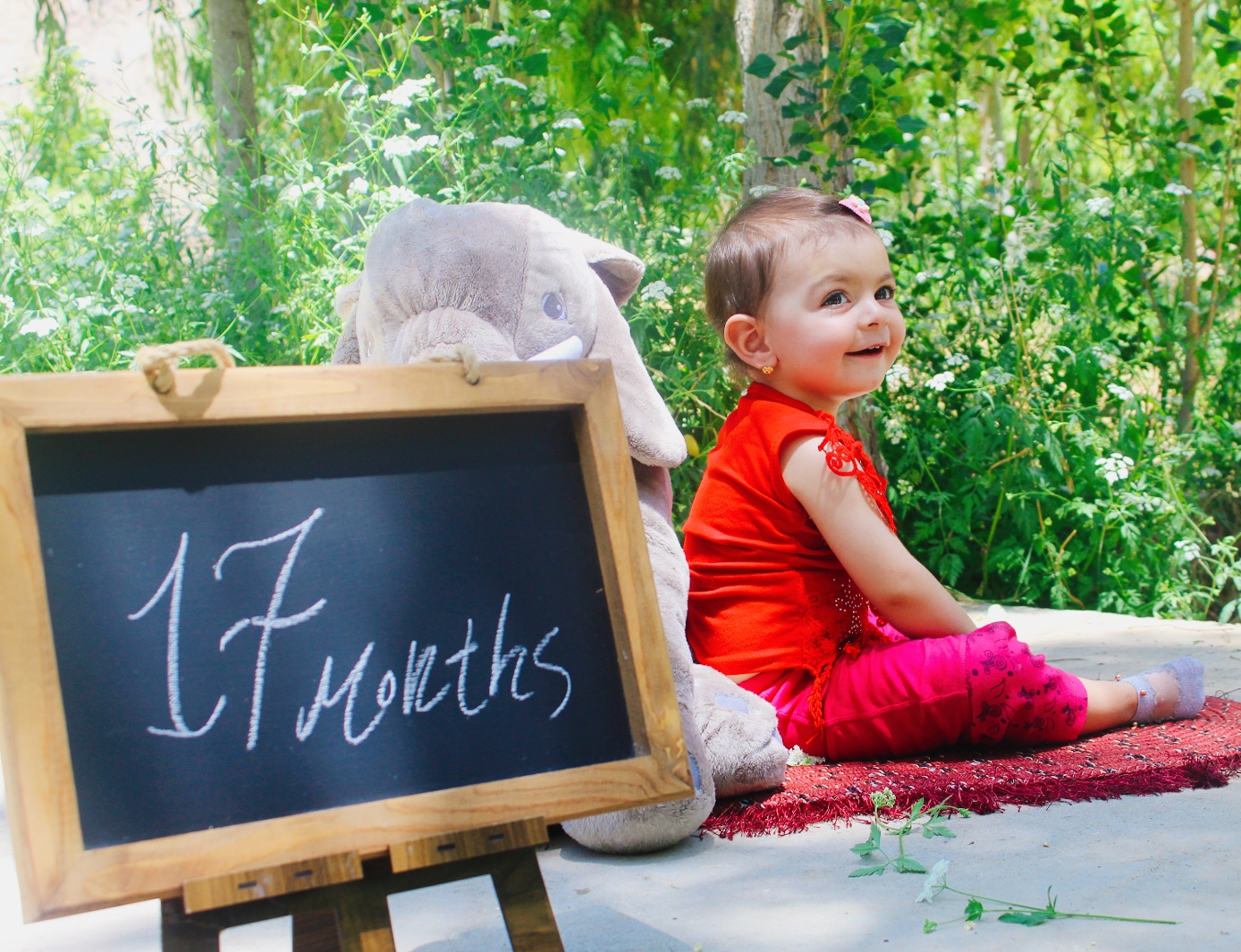 هفده ماهگی کودک میترا زارع