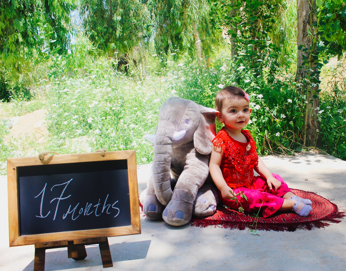 هفده ماهگی کودک میترا زارع