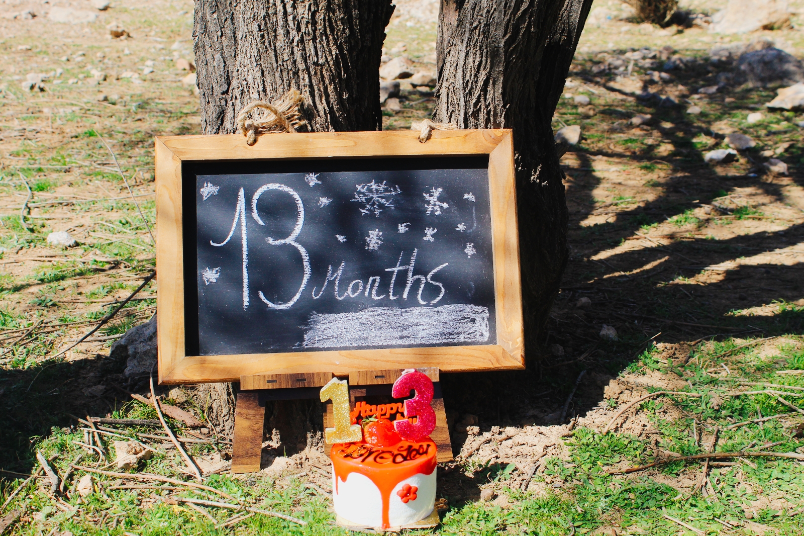 تم عکس زمستانی نوزاد میترا زارع