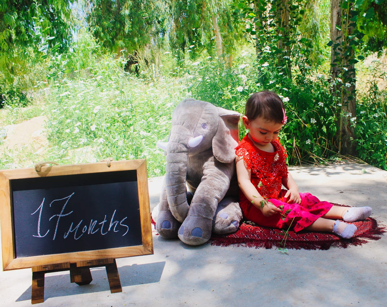 هفده ماهگی کودک میترا زارع