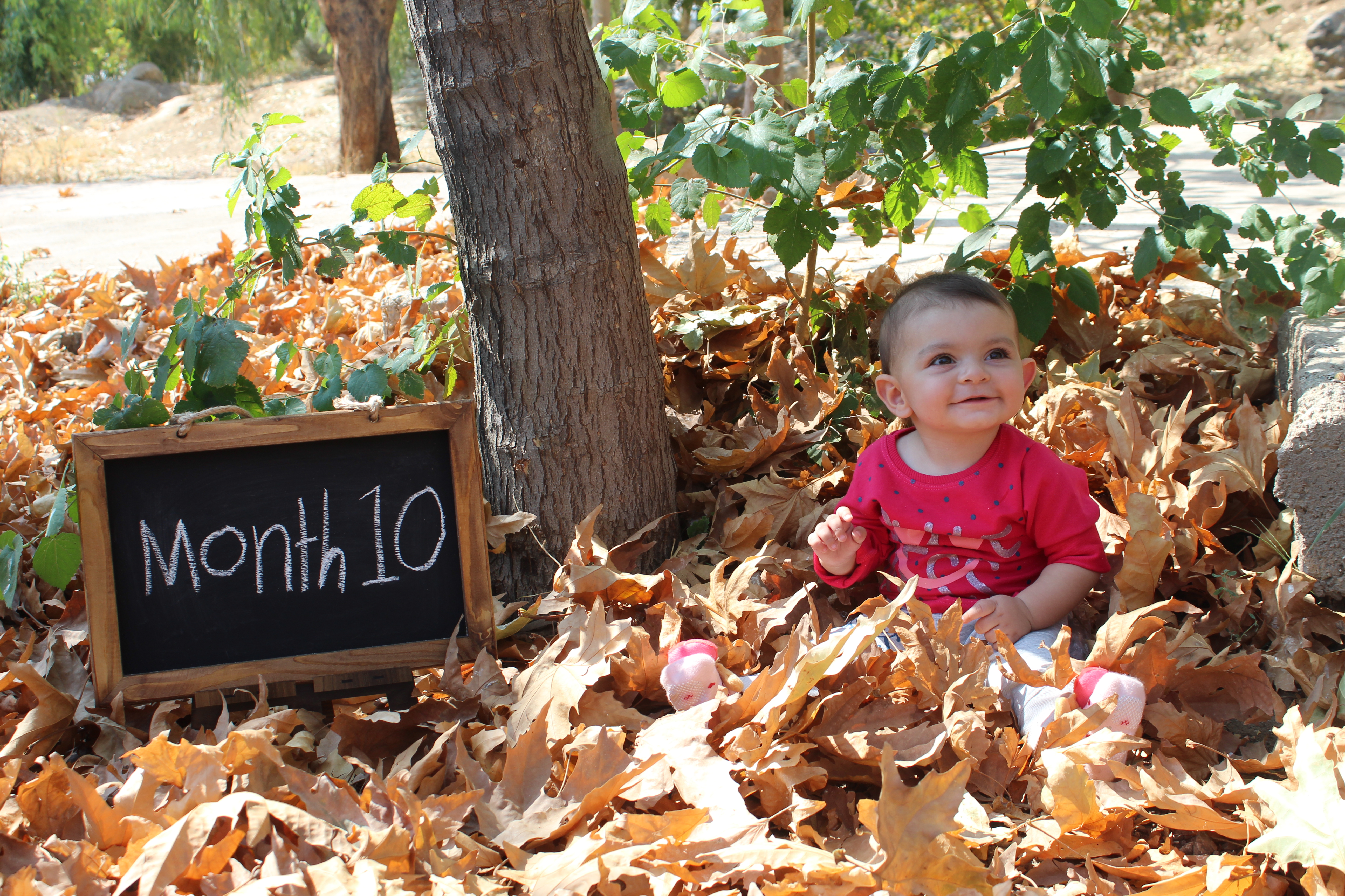 ده ماهگی نوزاد میترا زارع