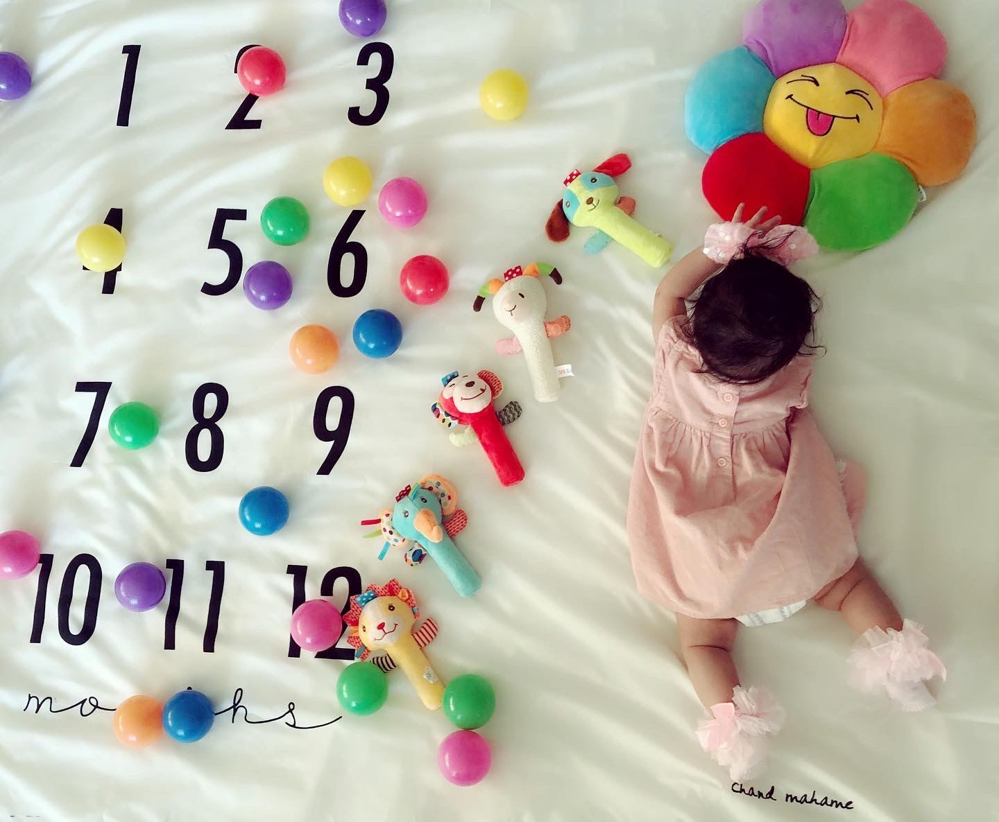 جشن دندونی نوزاد شایلین ملکوتی