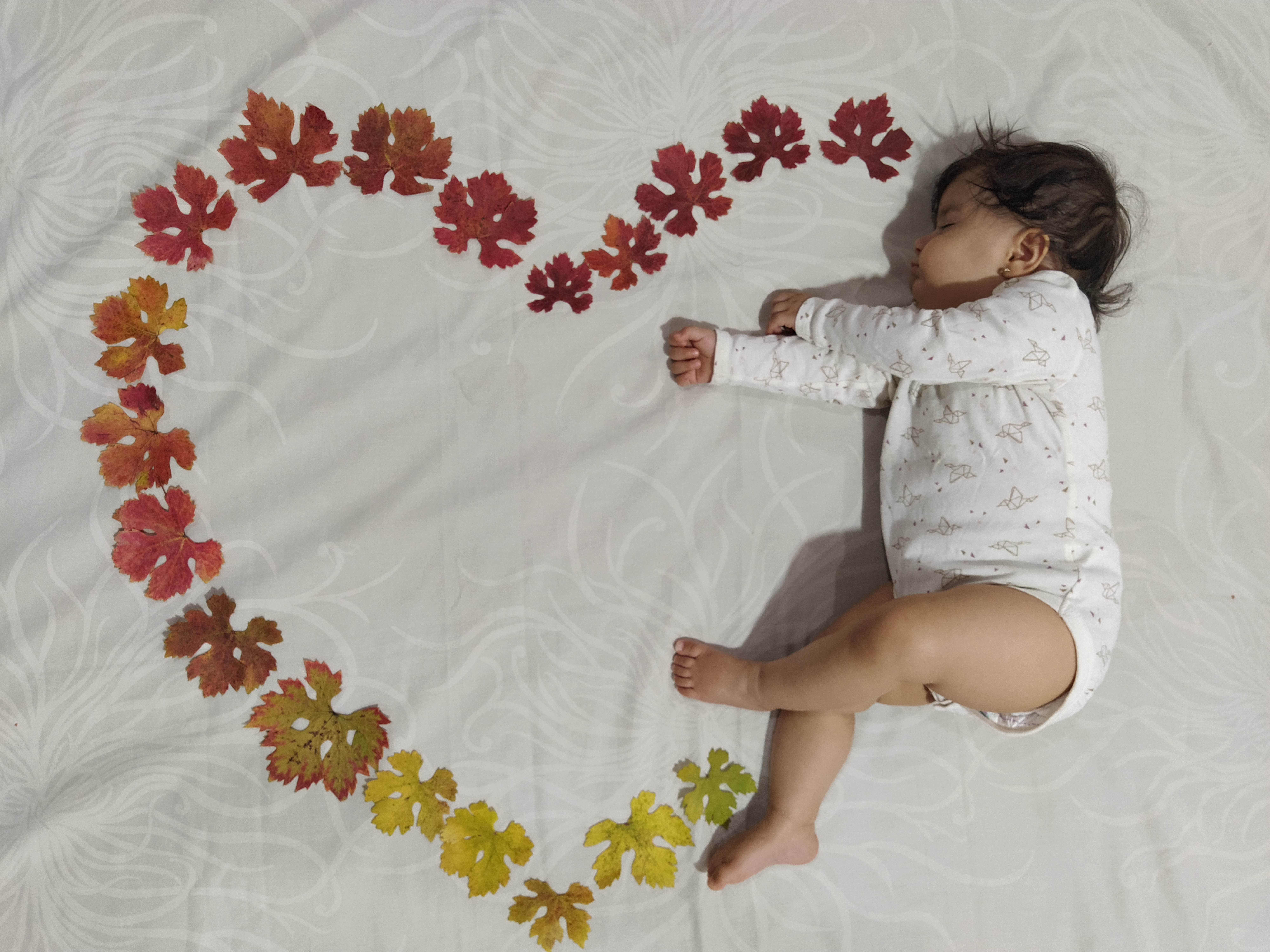 ده ماهگی نوزاد الارا امینی