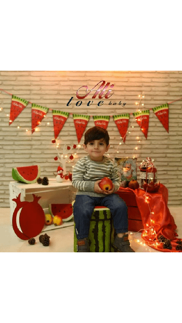 بیست و چهار ماهگی کودک علی امجدیام