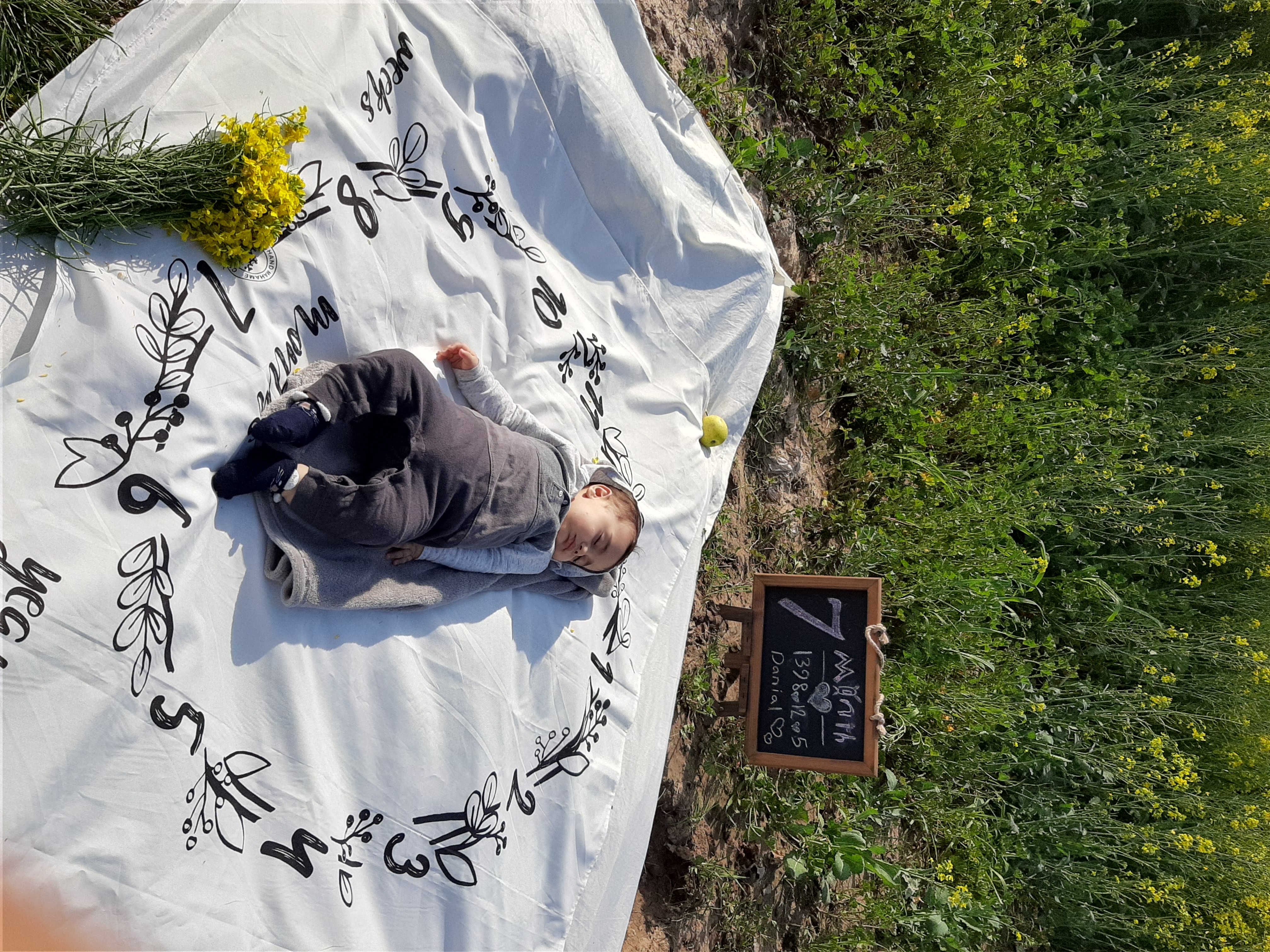 تخته سیاه فانتزی دانیال رضایی