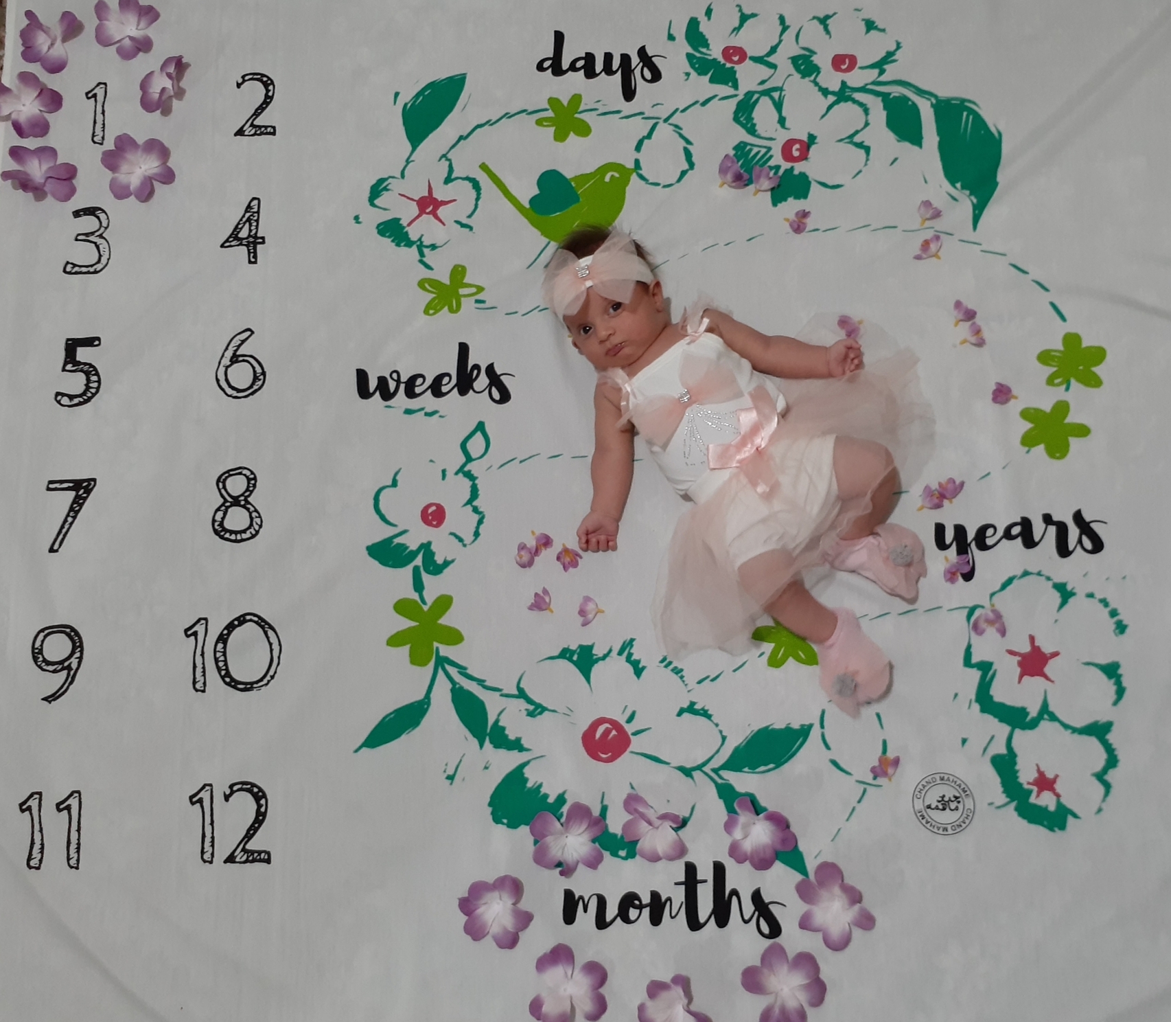 عکس مجلسی کودک سیده فاطمه عبدالله زاده خراط