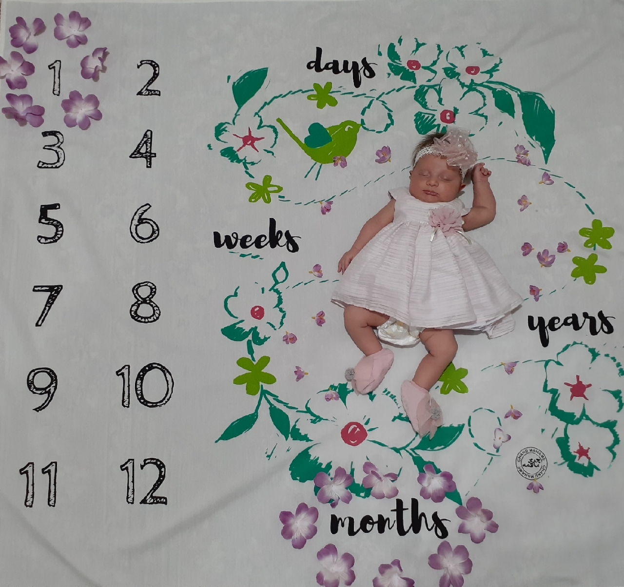 عکس مجلسی کودک سیده فاطمه عبدالله زاده خراط