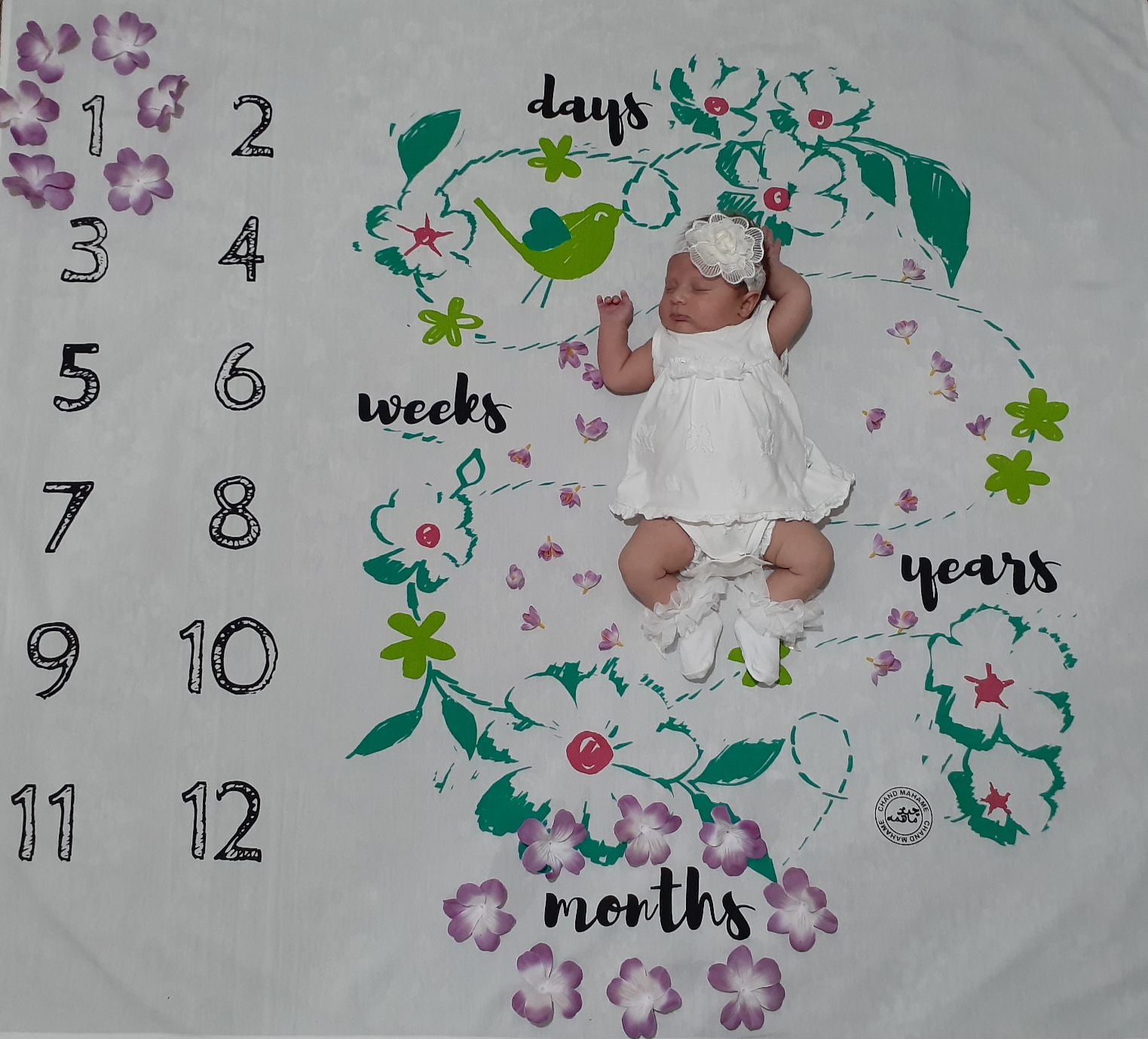 یک ماهگی نوزاد سیده فاطمه عبدالله زاده خراط