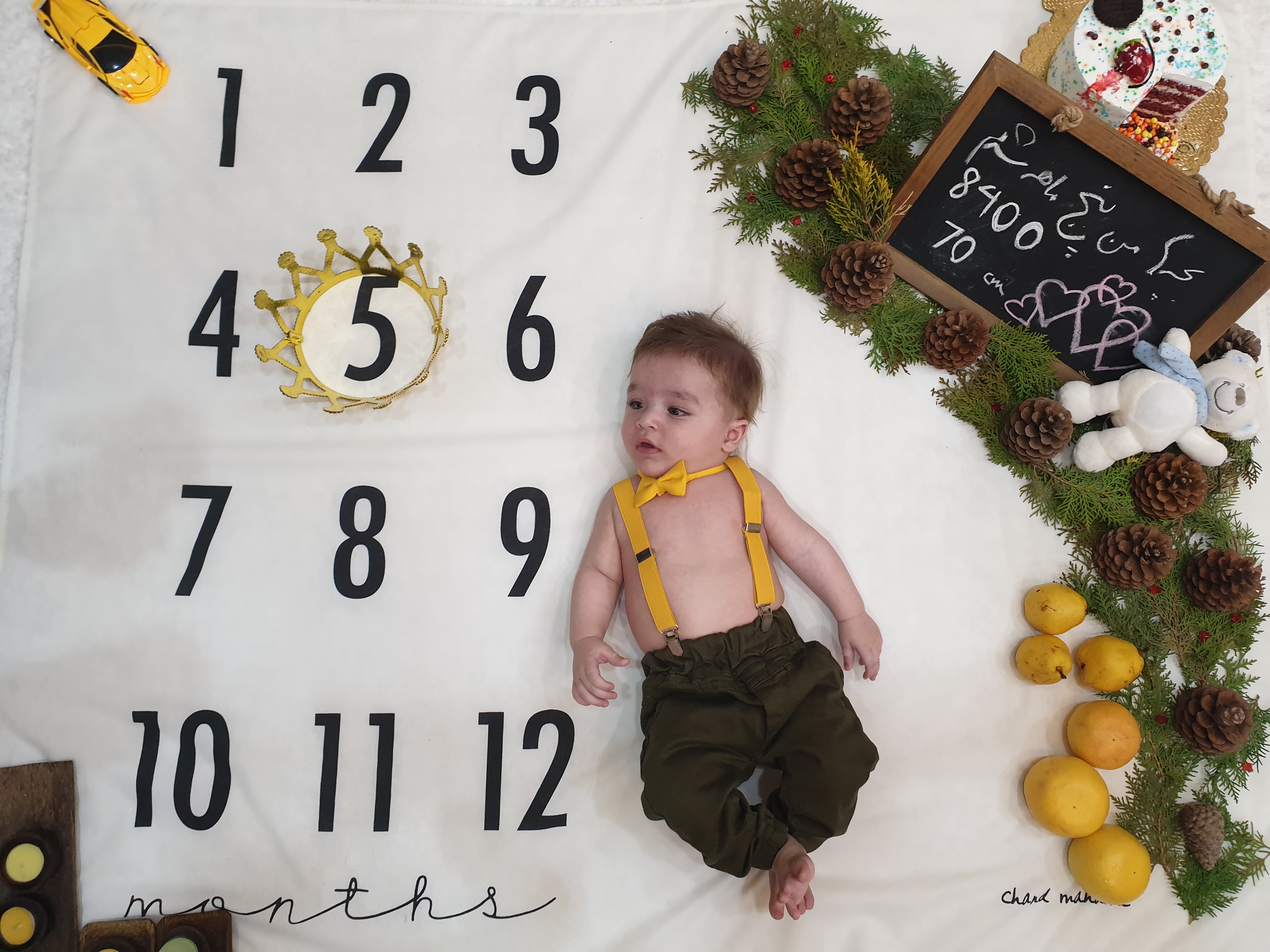 تم عکس زمستانی نوزاد هامين شعاعي