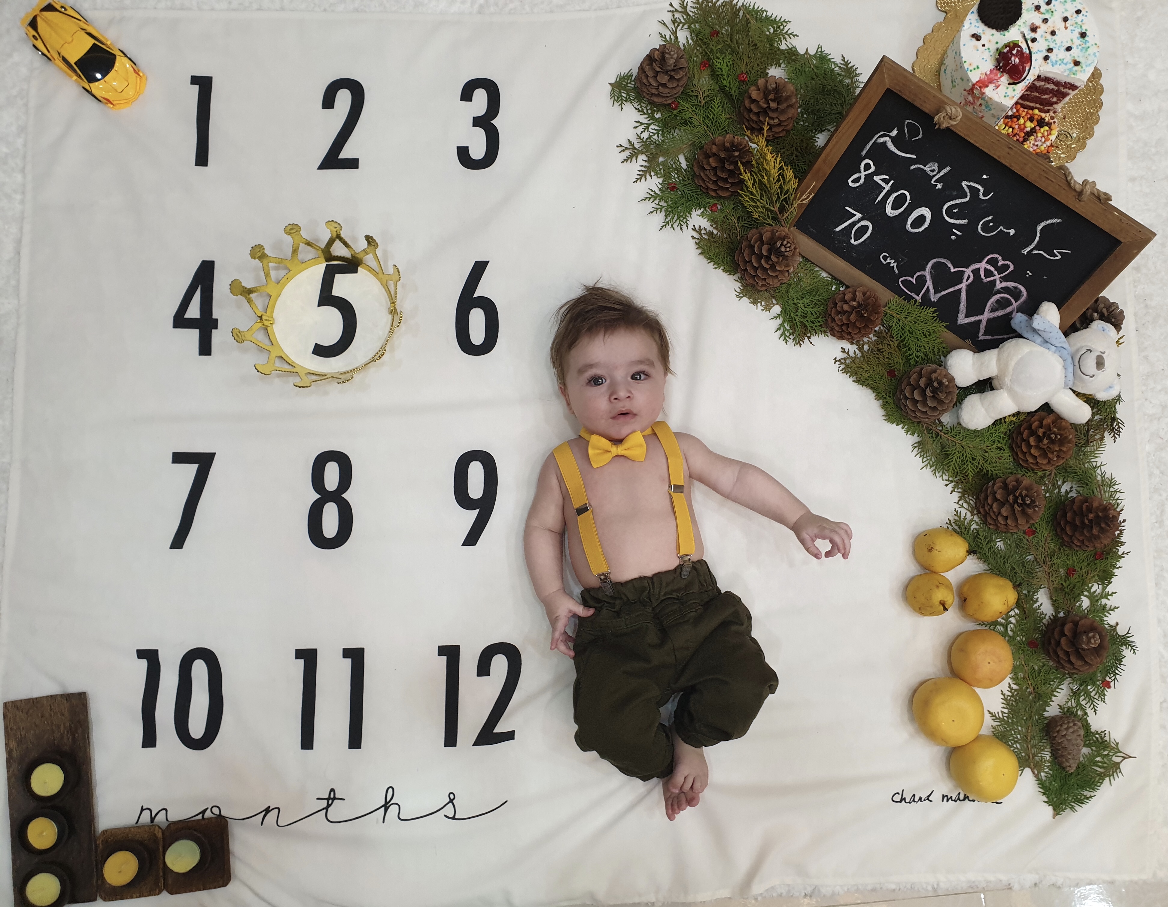 پنج ماهگی نوزاد هامين شعاعي