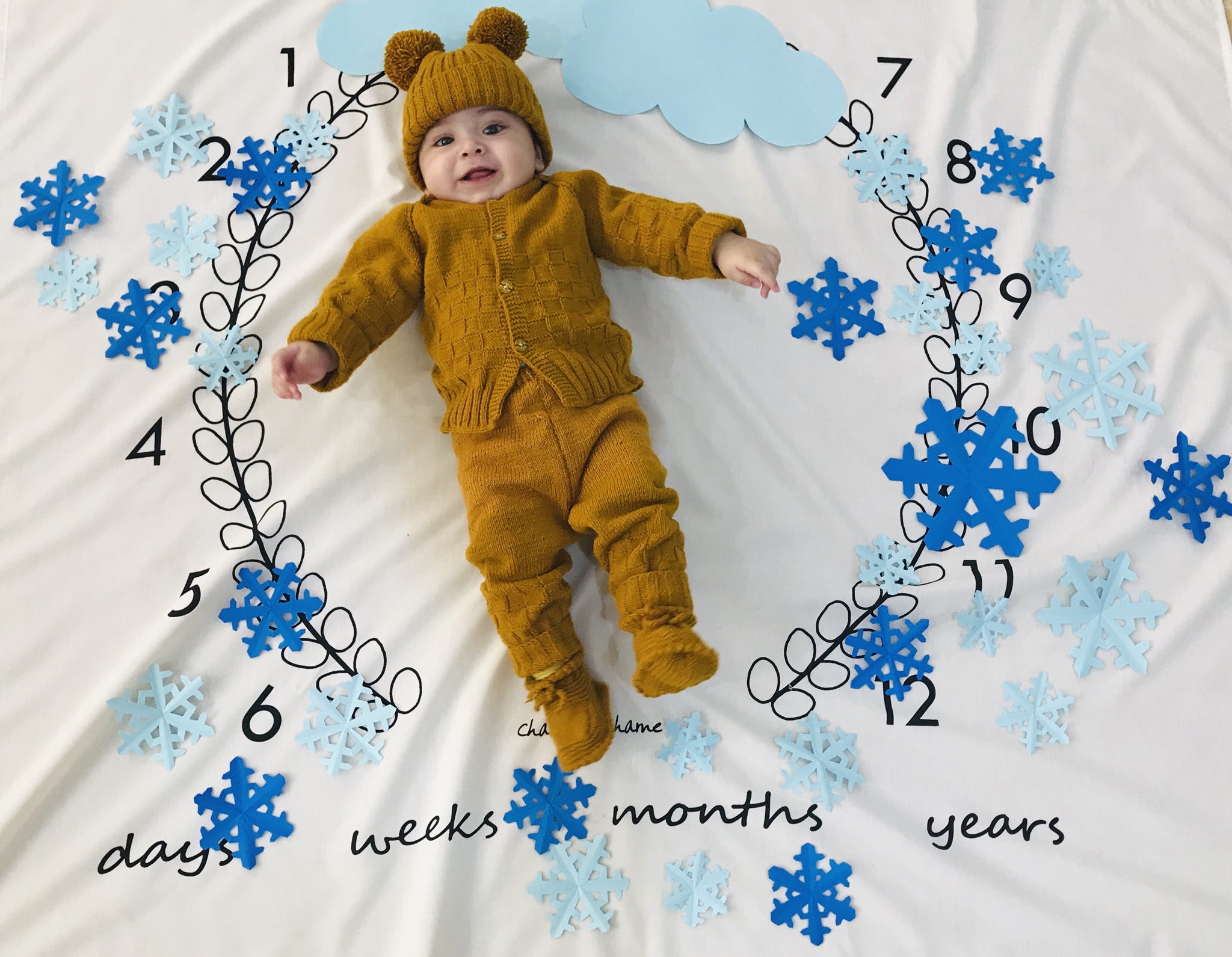 تم عکس زمستانی نوزاد سورن باقري