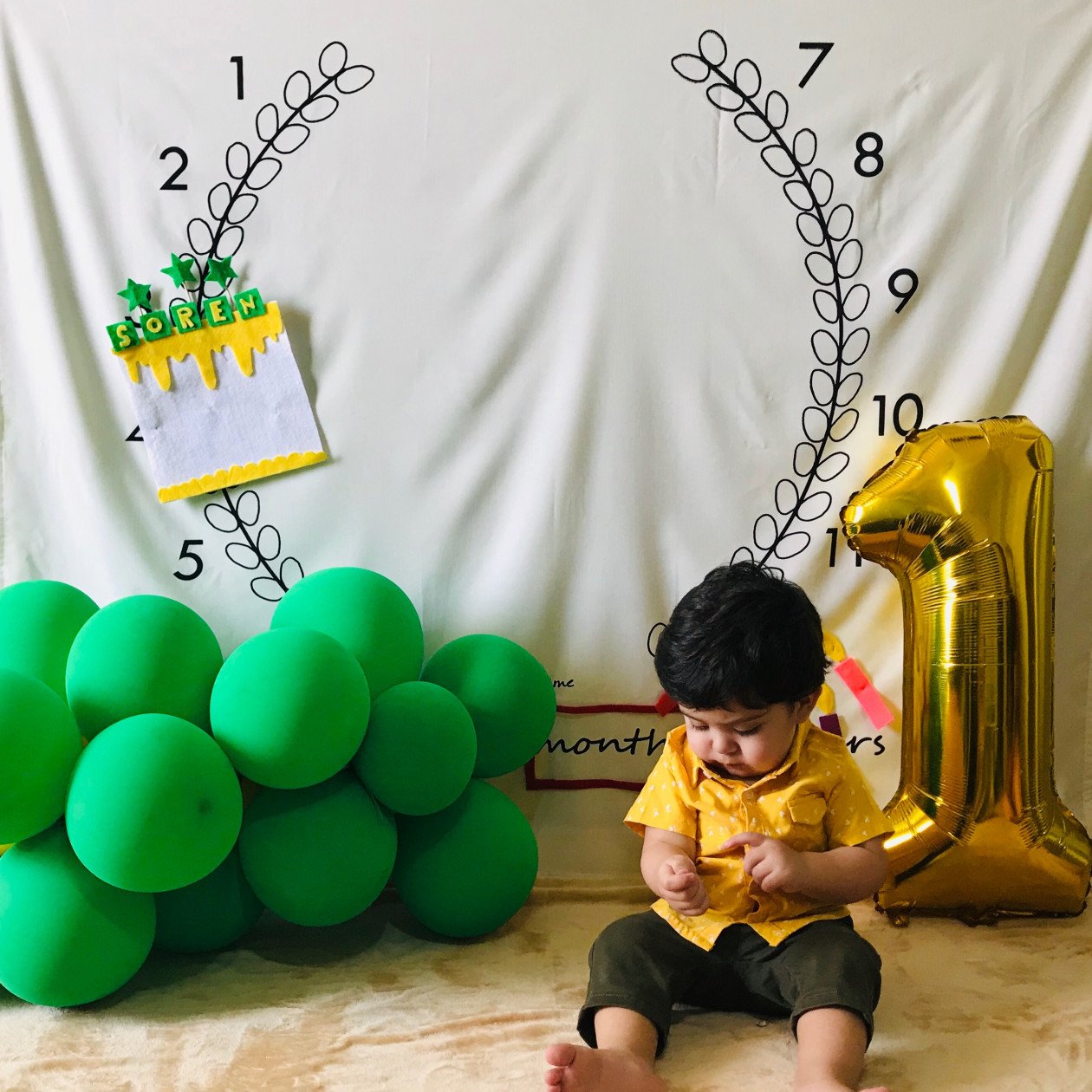 دوازده ماهگی نوزاد سورن باقري