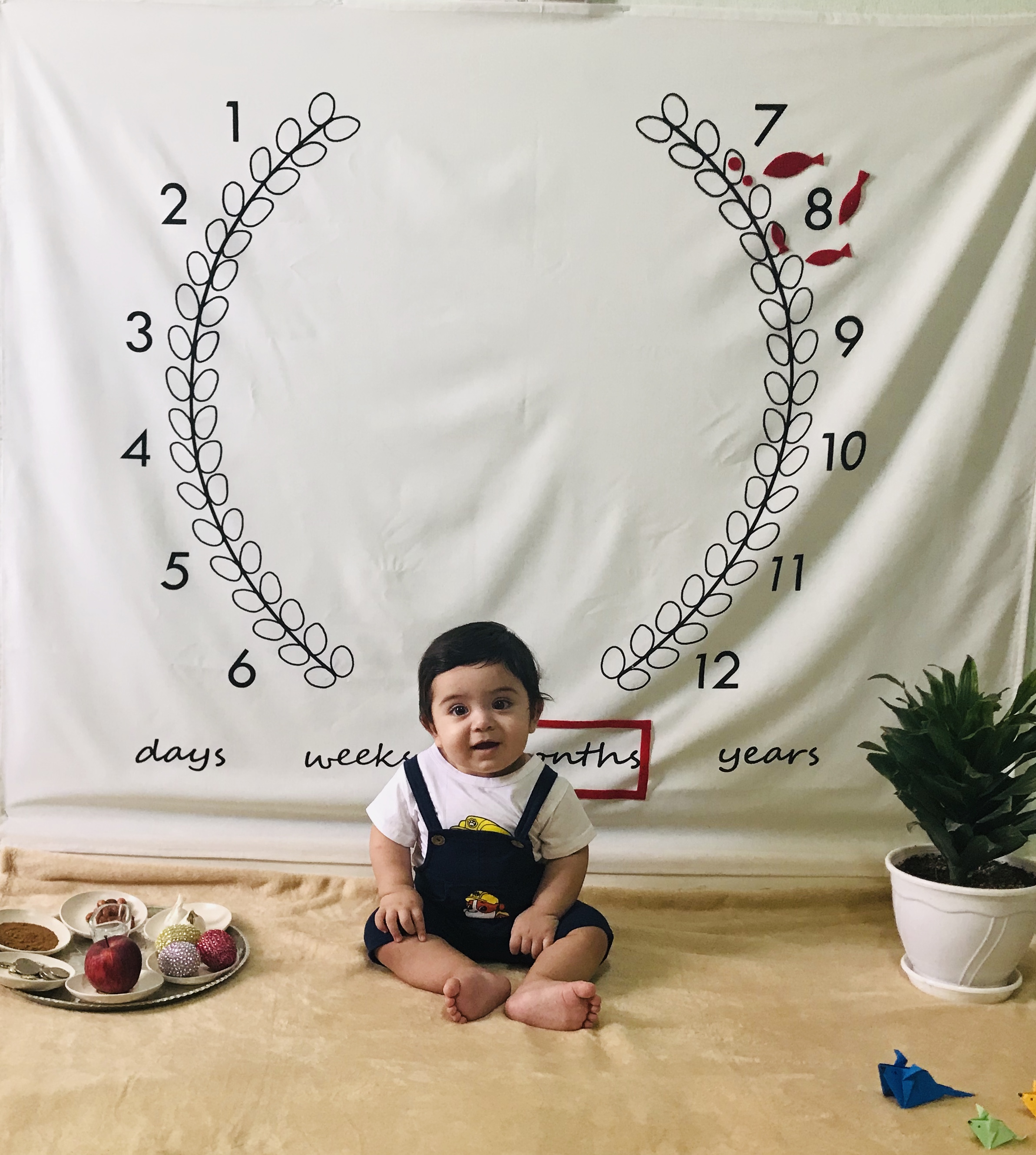 هشت ماهگی نوزاد سورن باقري