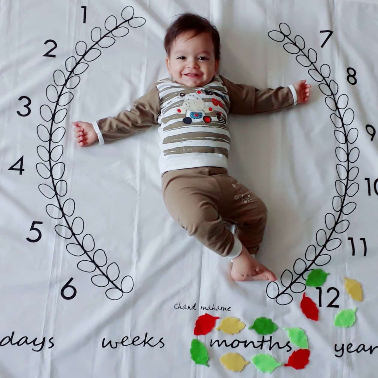 دوازده ماهگی نوزاد محمد حسین صادقی