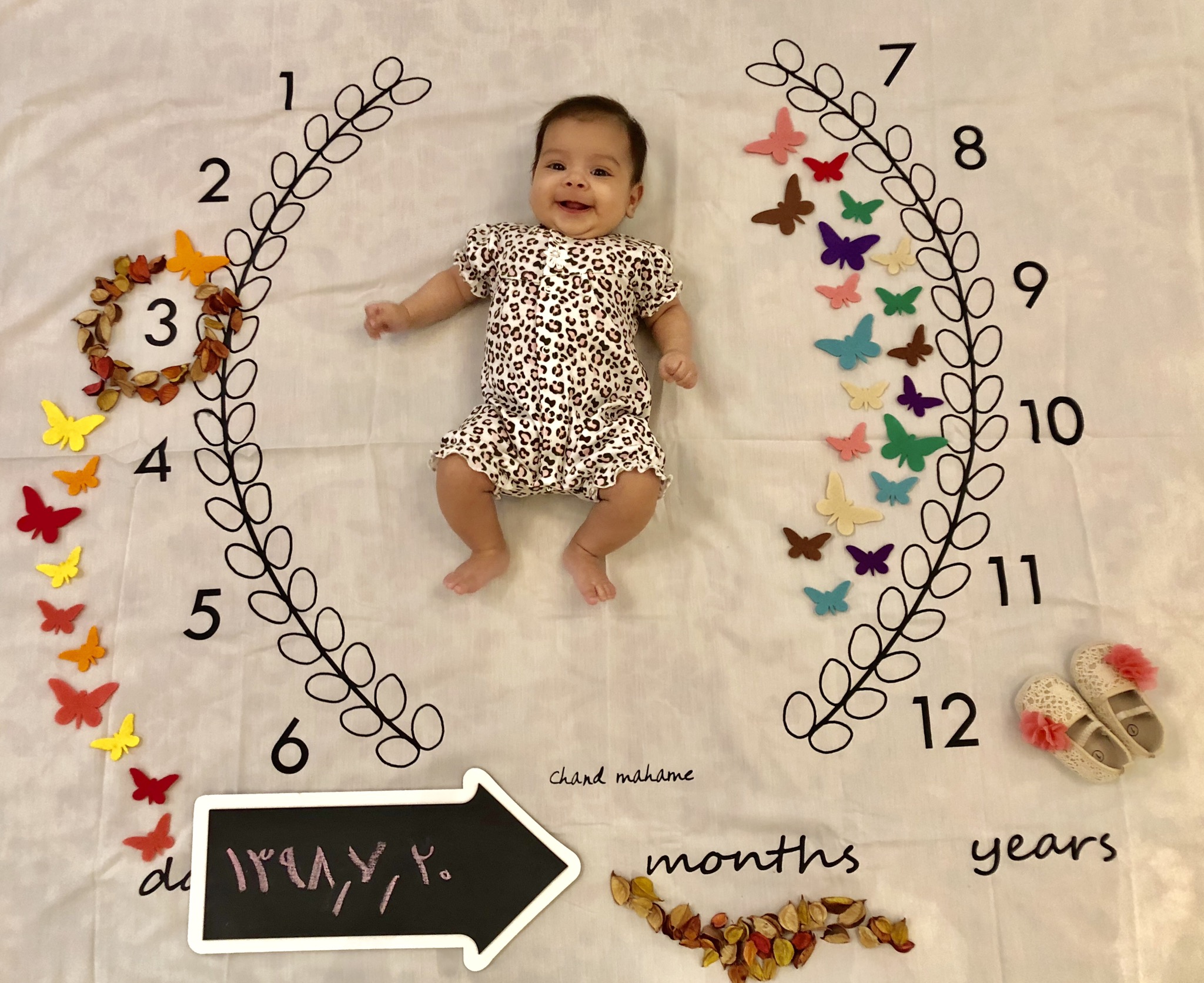 سه ماهگی نوزاد مانيا قلندر