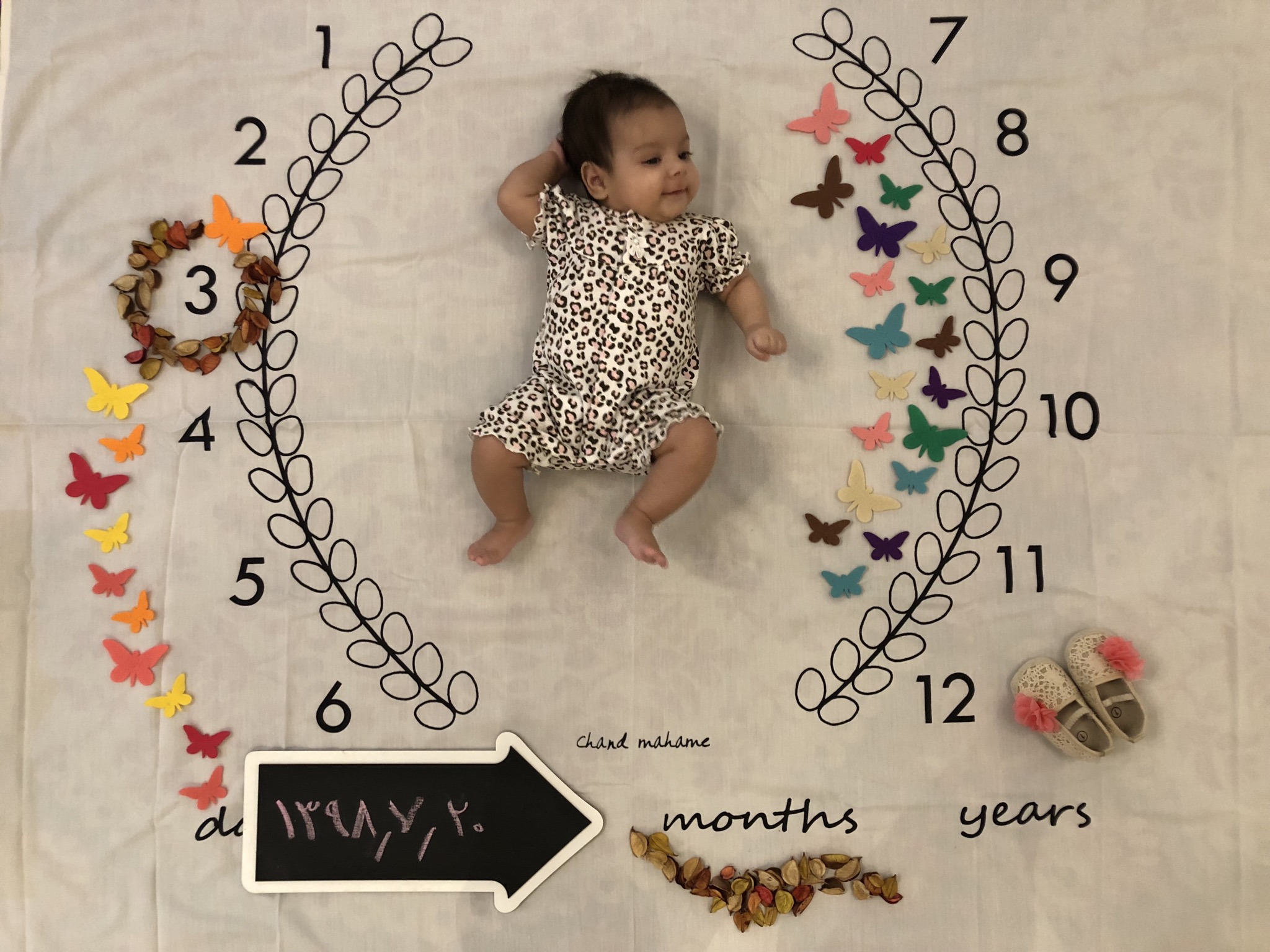 تخته سیاه گچی مدل فلش مانيا قلندر