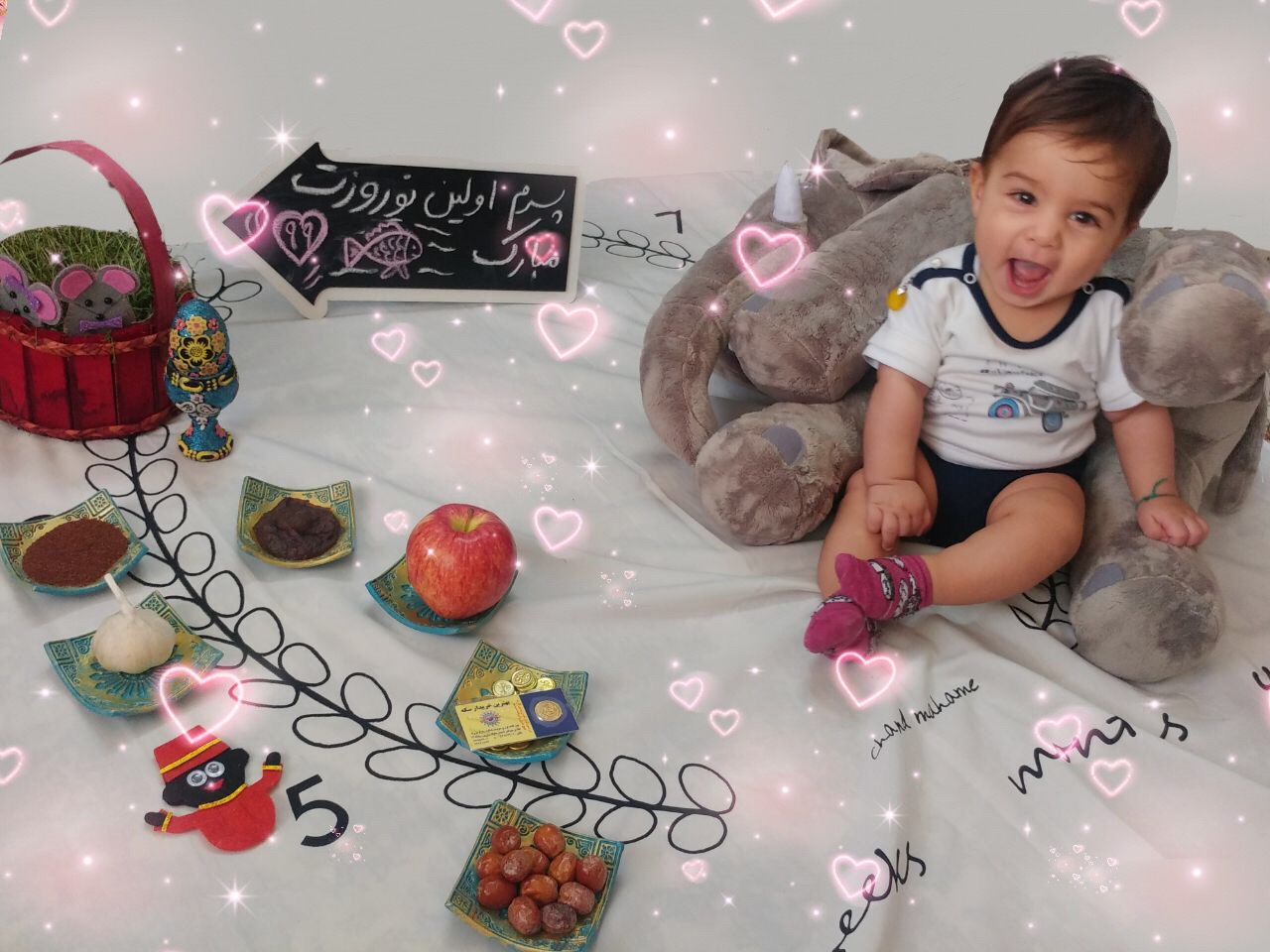 پنج ماهگی نوزاد محمد حسین شهرابی فراهانی