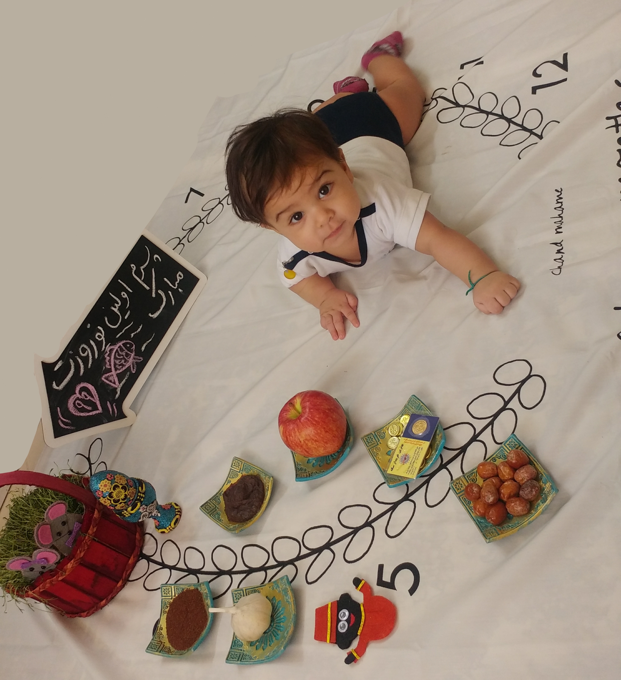 پنج ماهگی نوزاد محمد حسین شهرابی فراهانی